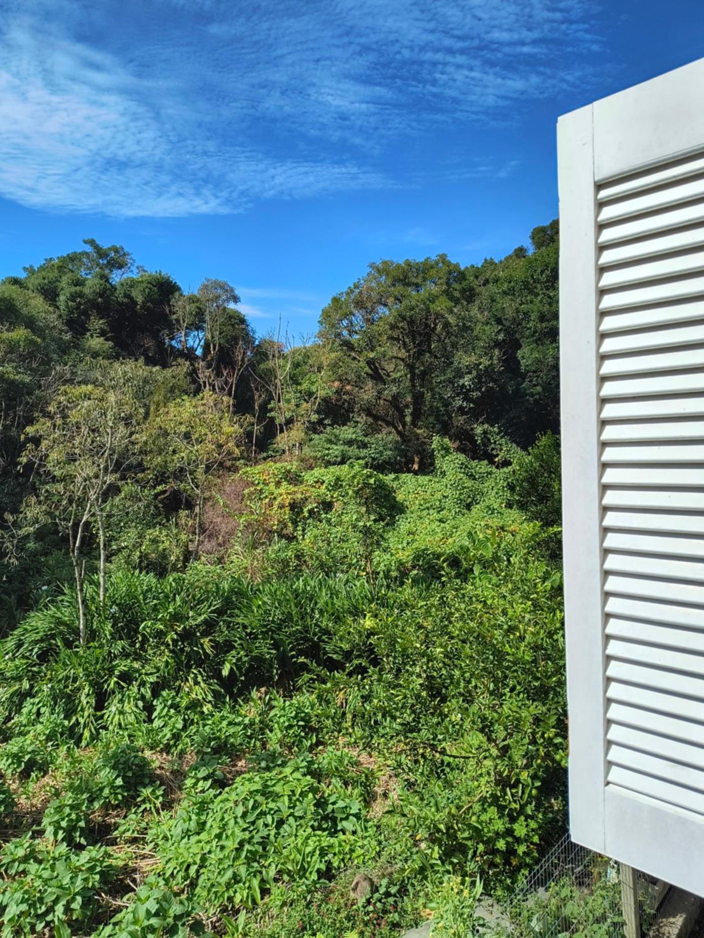 Recanto do bosque