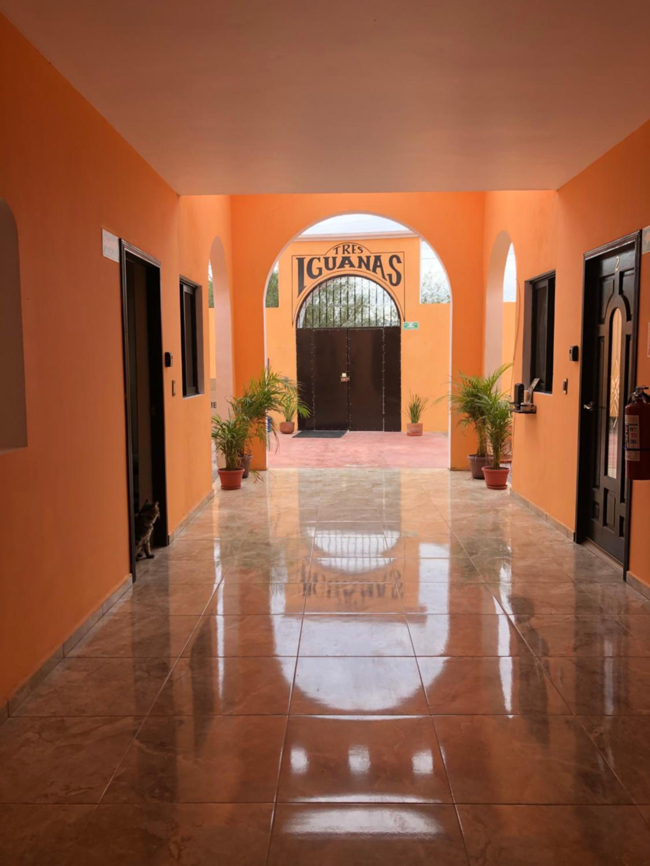 Hotel Tres Iguanas Apart Hotel - New, cozy & spacious flats, short walk to beach - Image 1