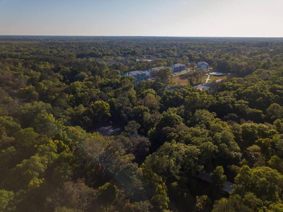 Modern Home Near UF, Stadium - Private Gazebo view 2