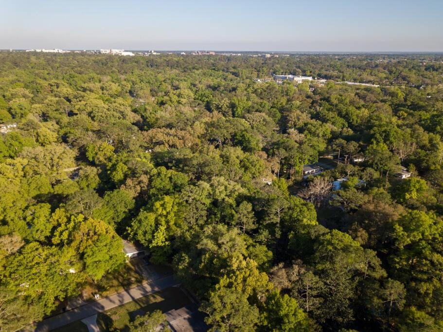 Modern Home Near UF, Stadium - Private Gazebo view 4