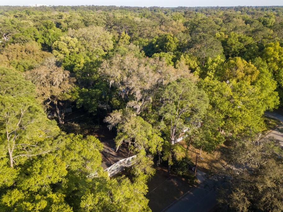 Modern Home Near UF, Stadium - Private Gazebo view 5
