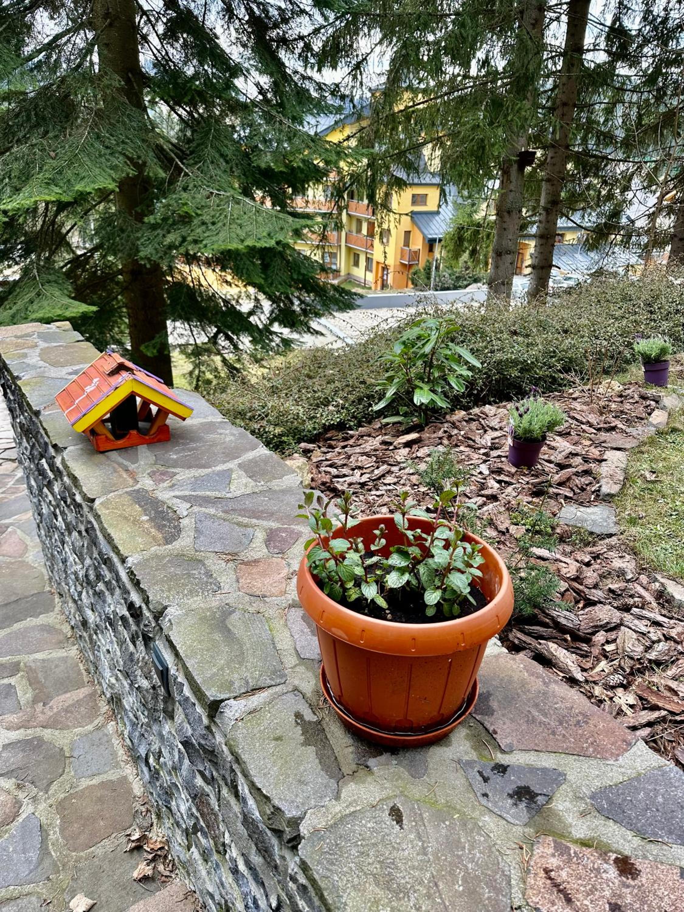 Photo 38