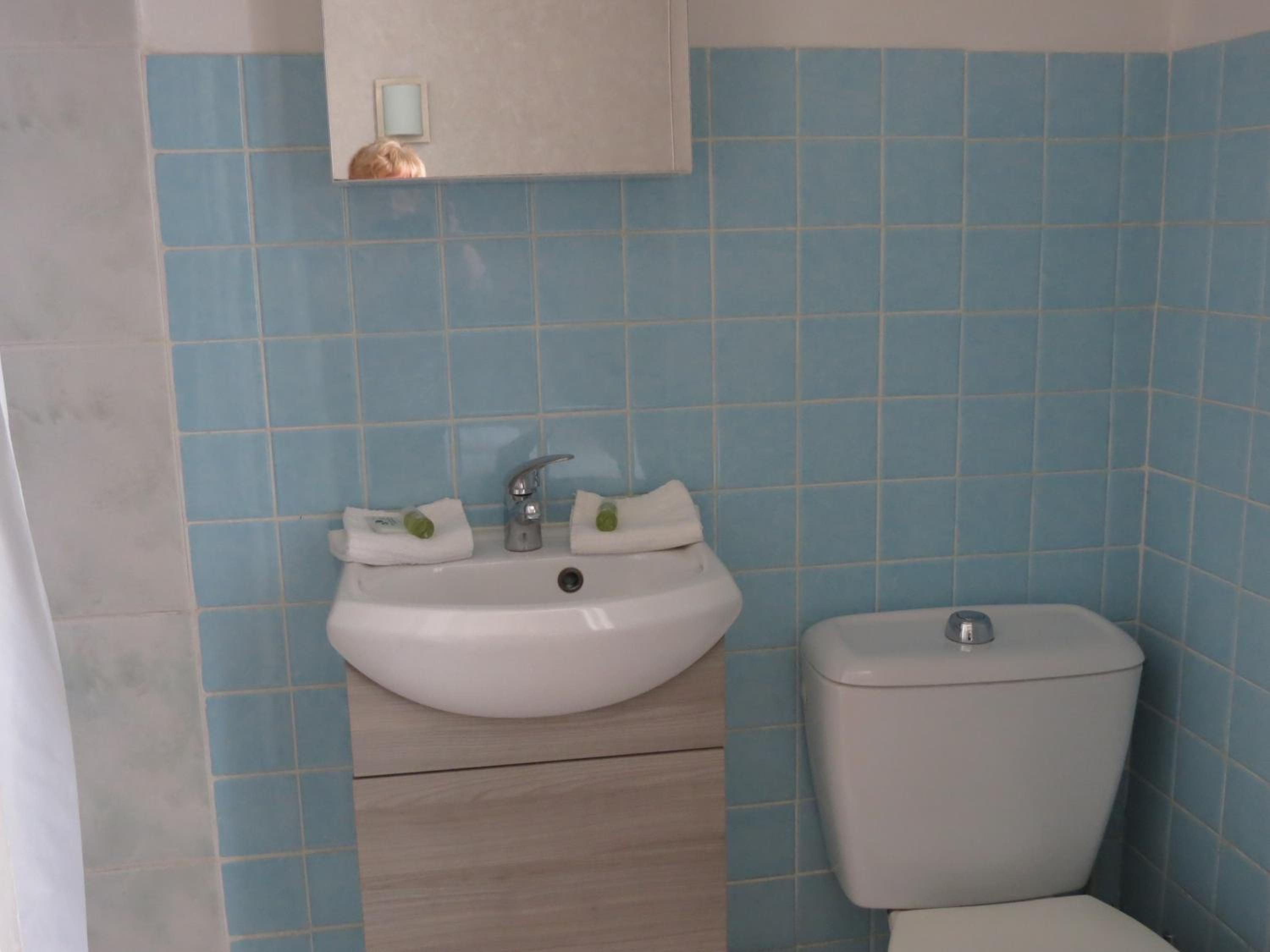 Hotel Au Petit Béarn, photo 29