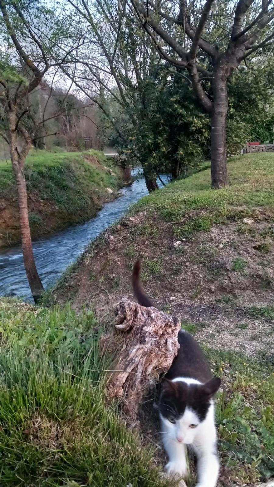 Kuća za odmor Buk