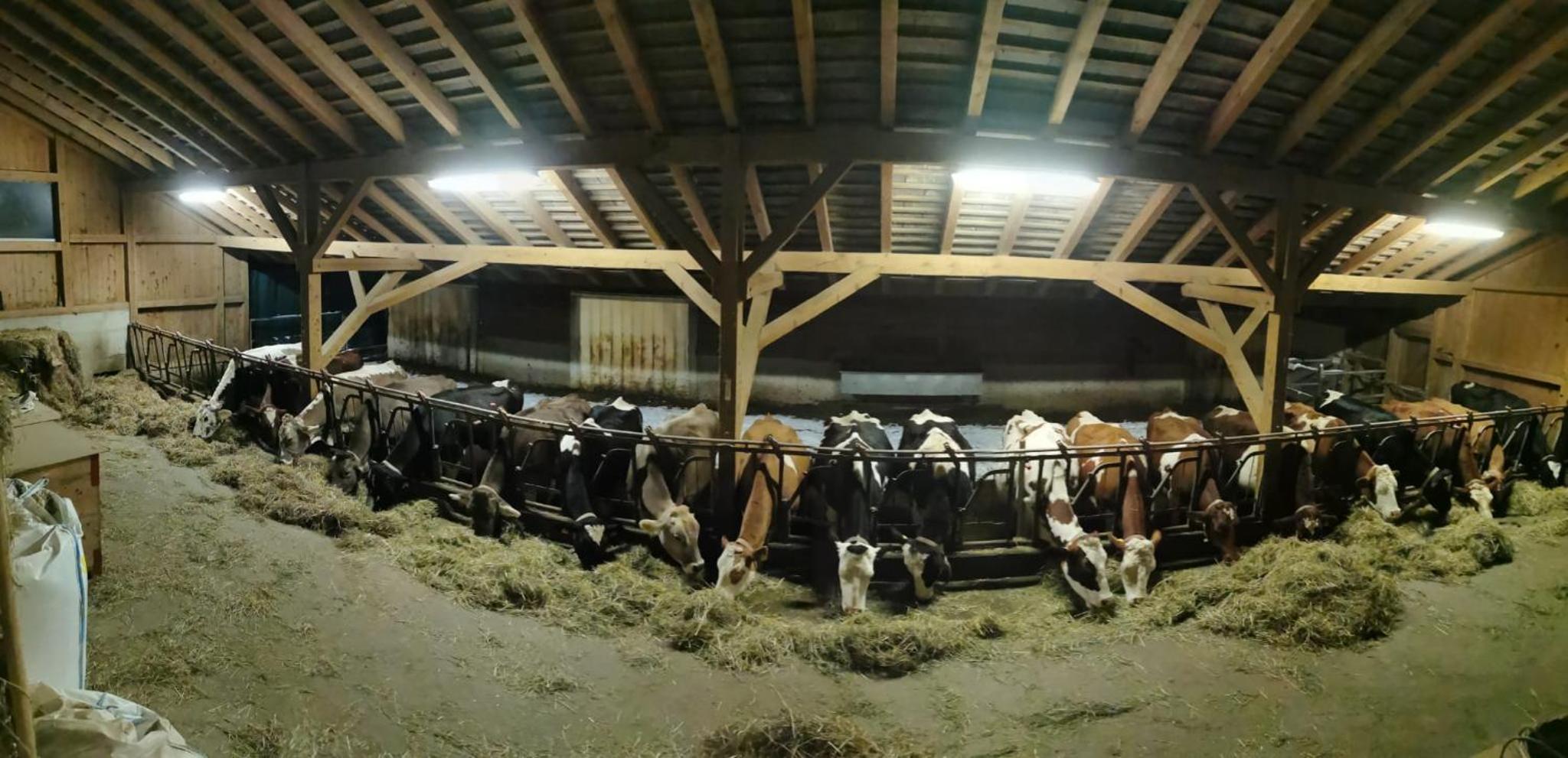 Emmental Ferien