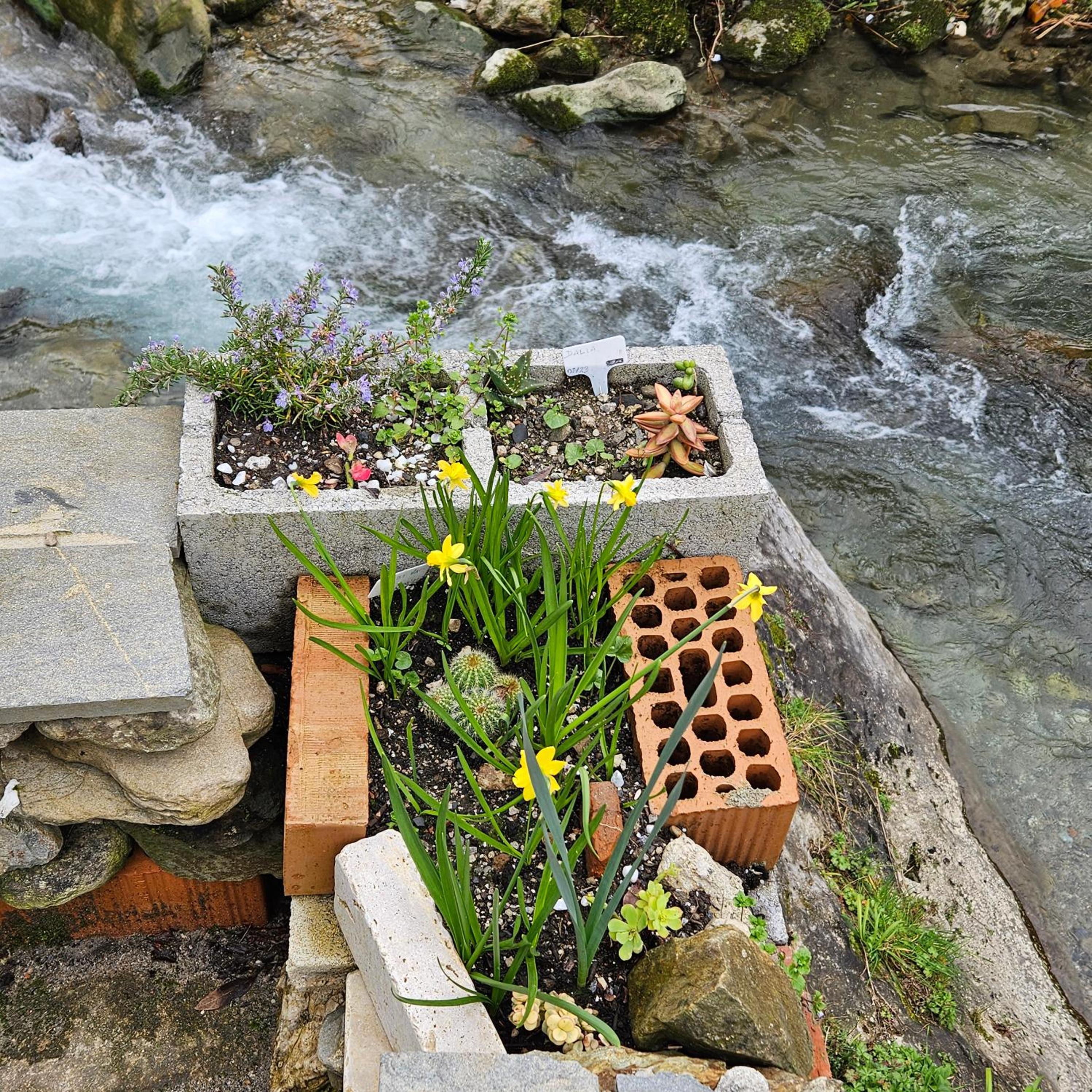 Photo 42