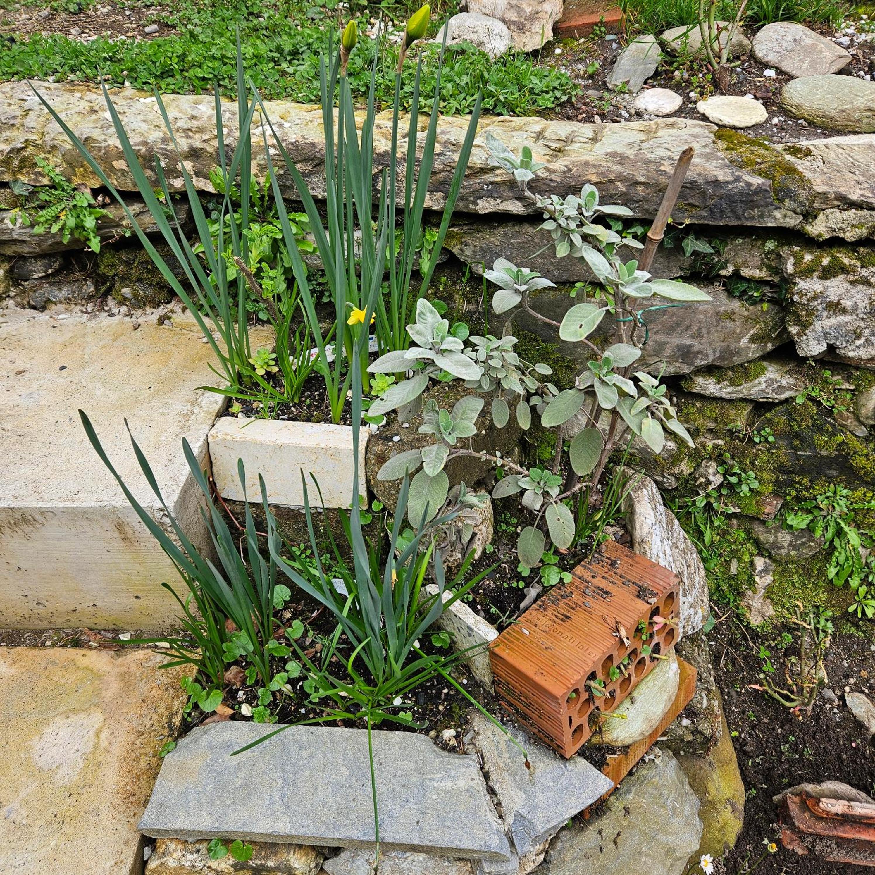 Photo 38