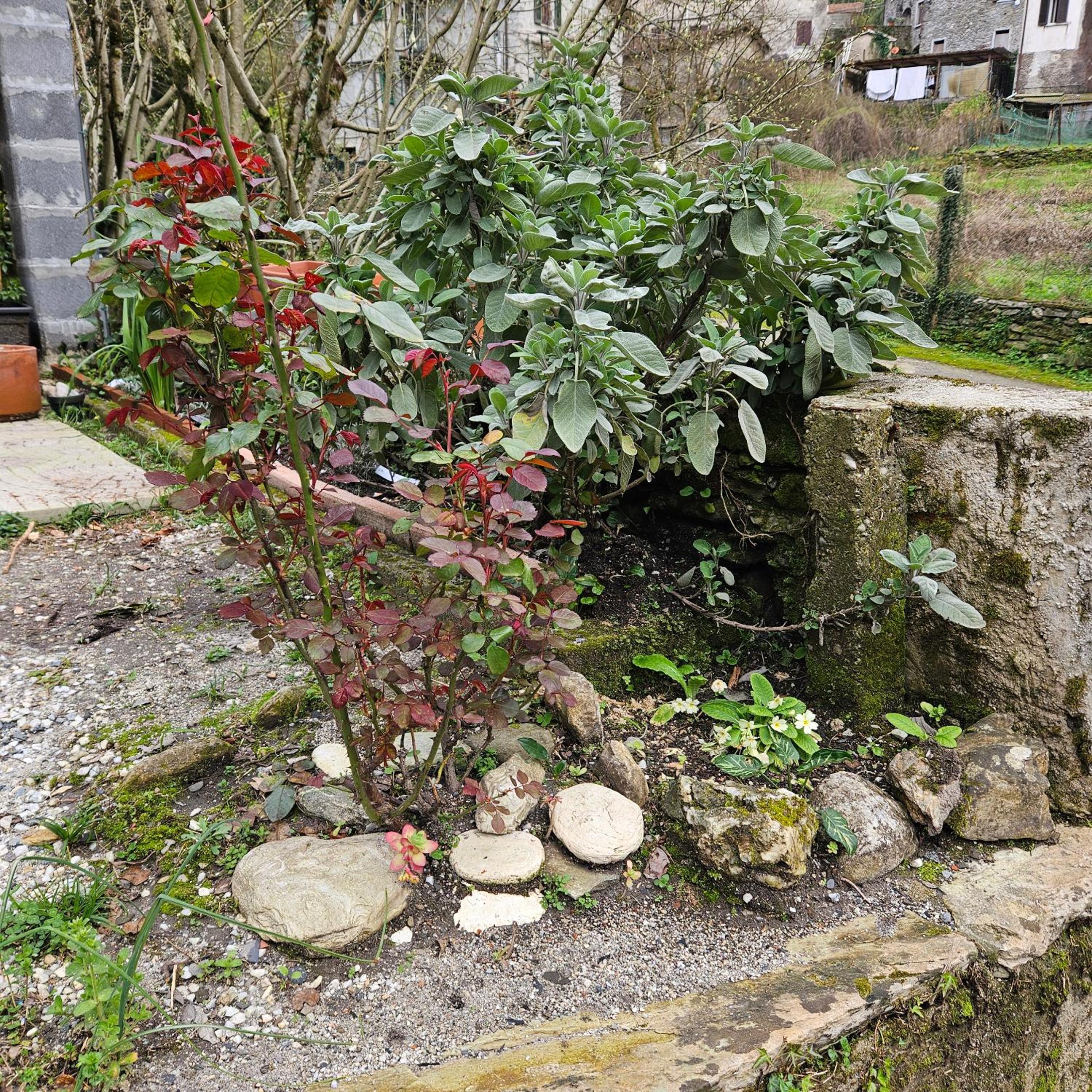 Photo 40