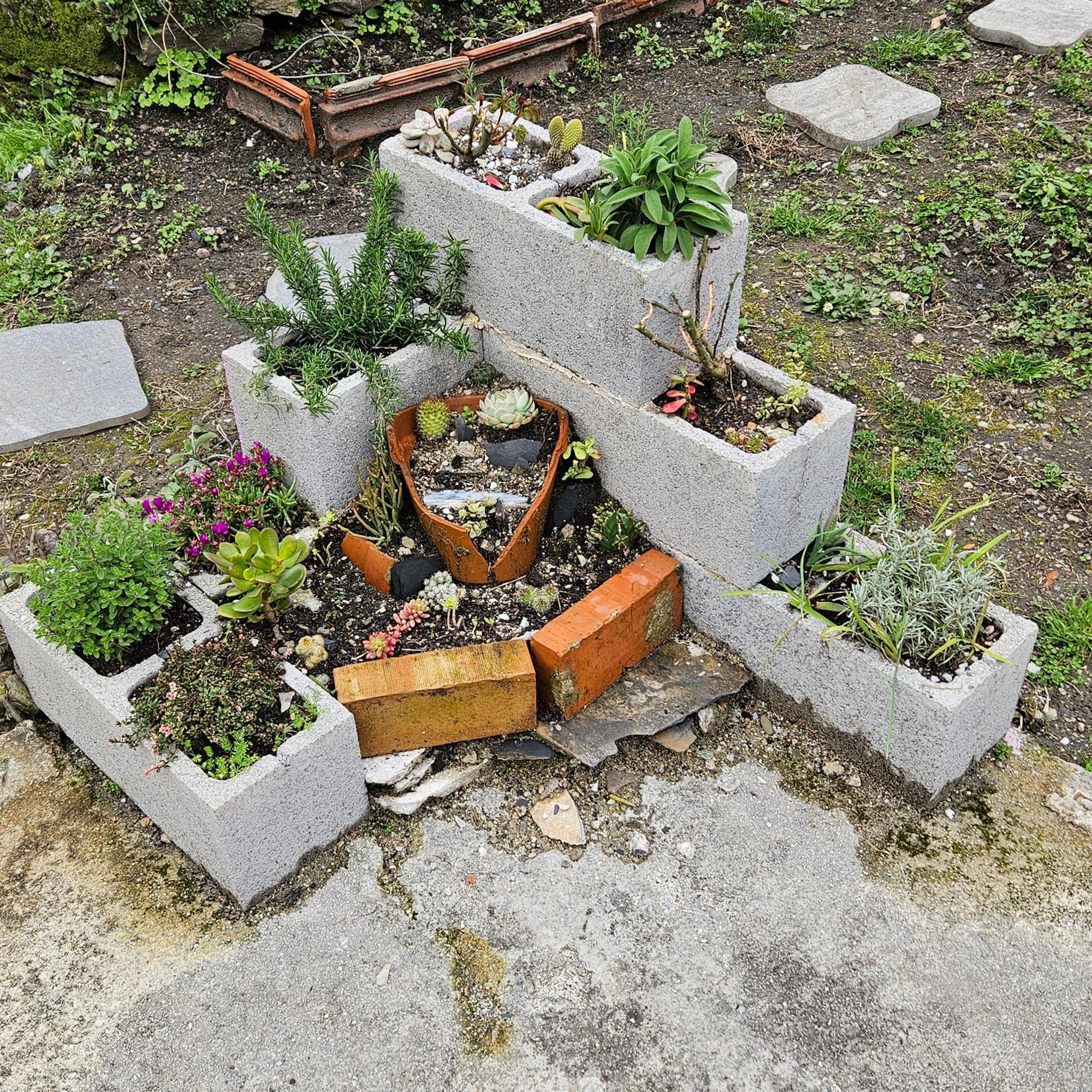 Photo 44