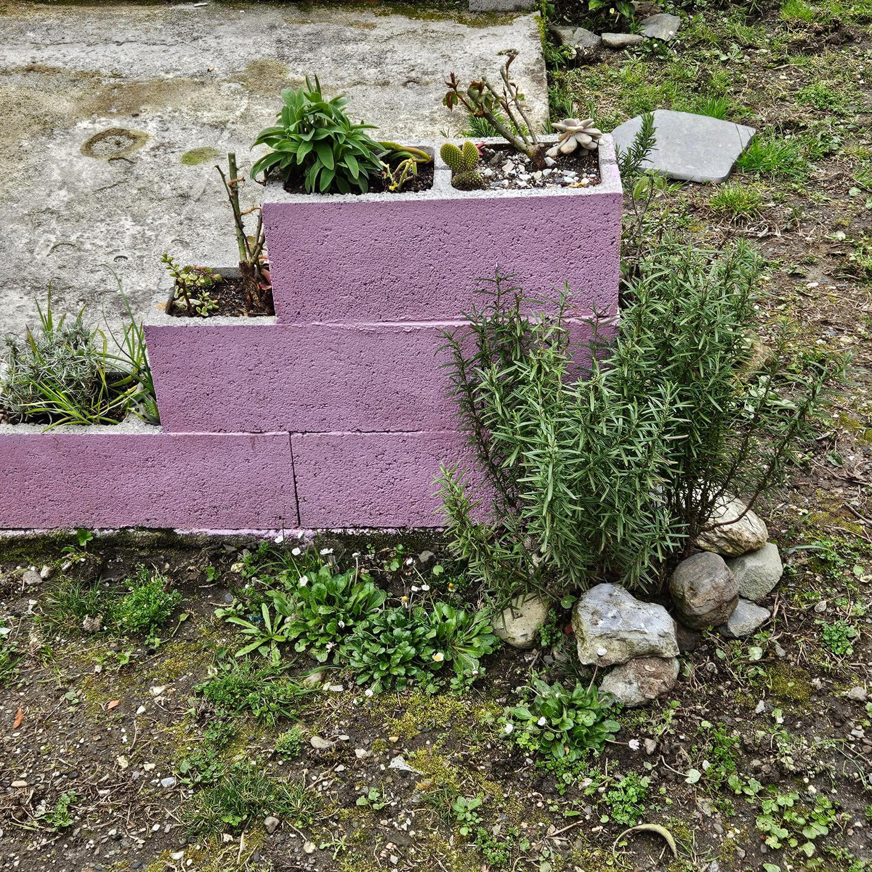 Photo 45