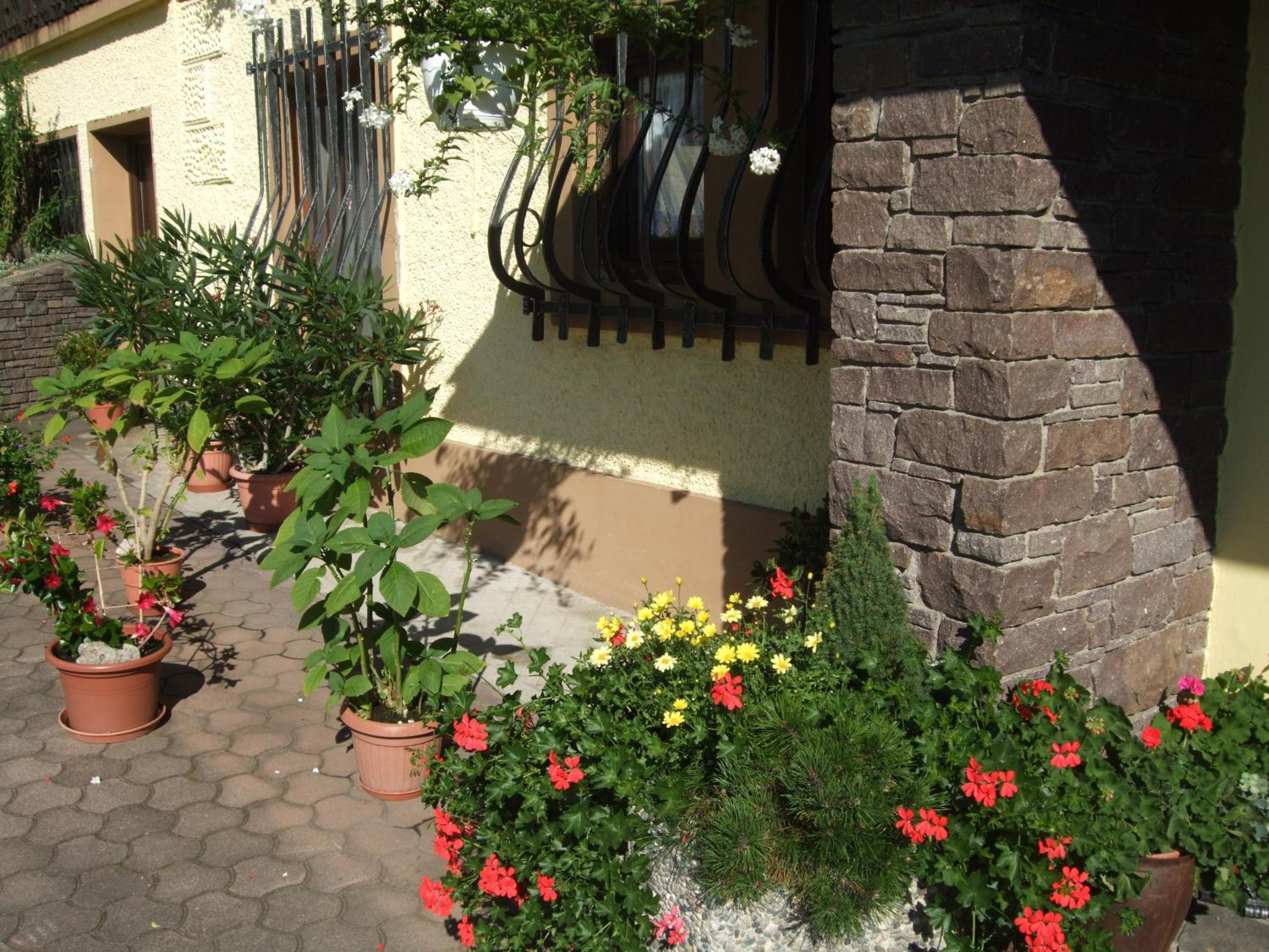 Photo 40