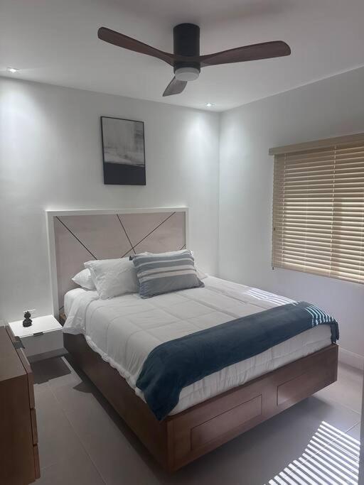 ZenCoast