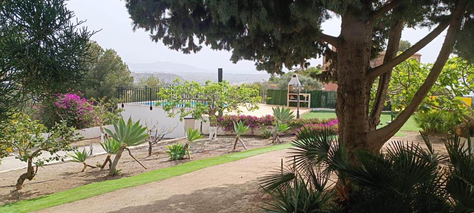 Photo 43