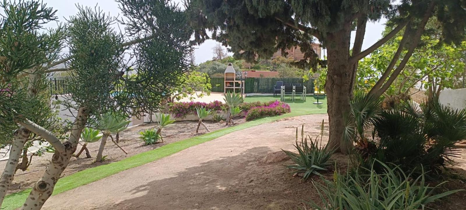 Photo 47