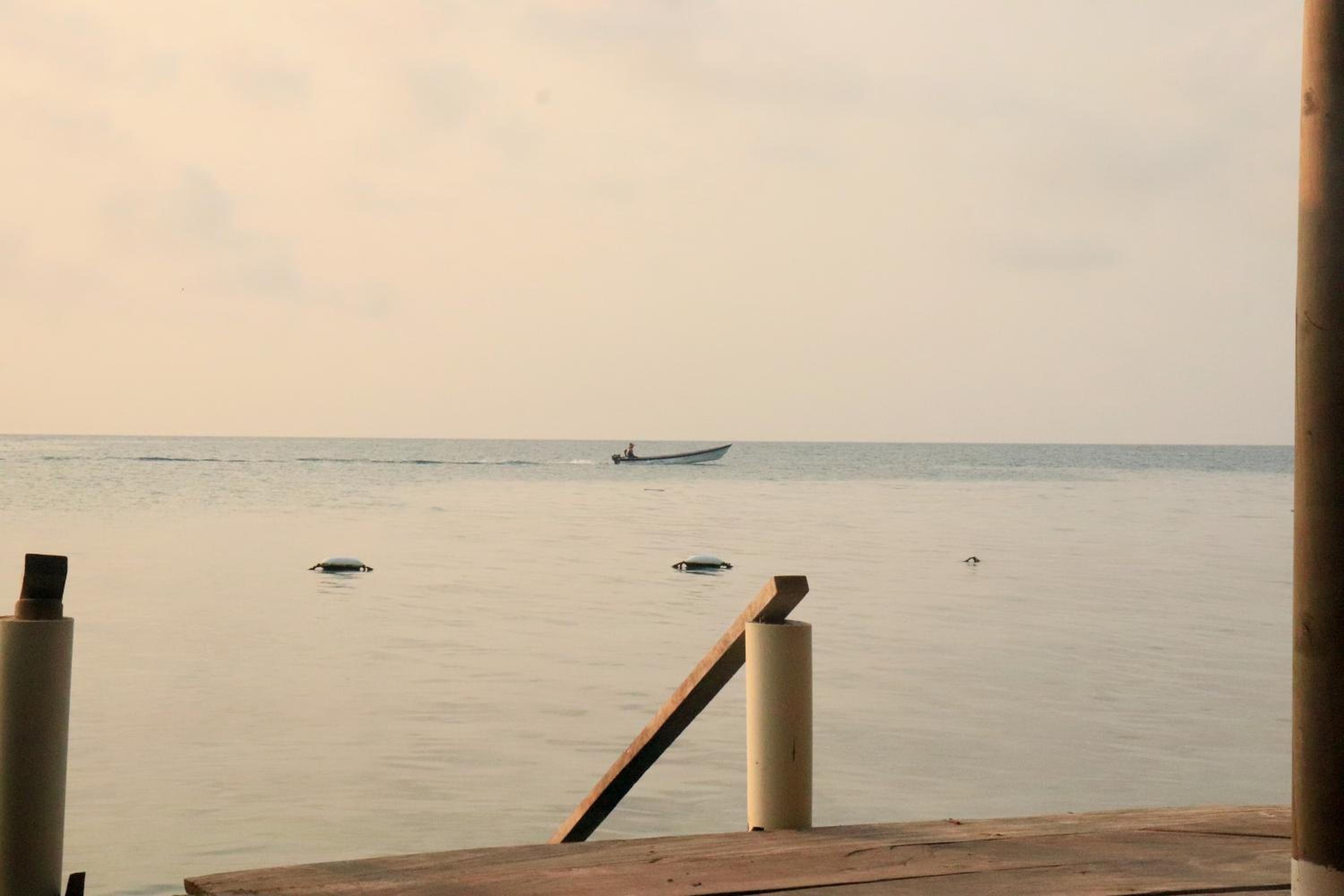 Hostel Santa Cruz del Islote