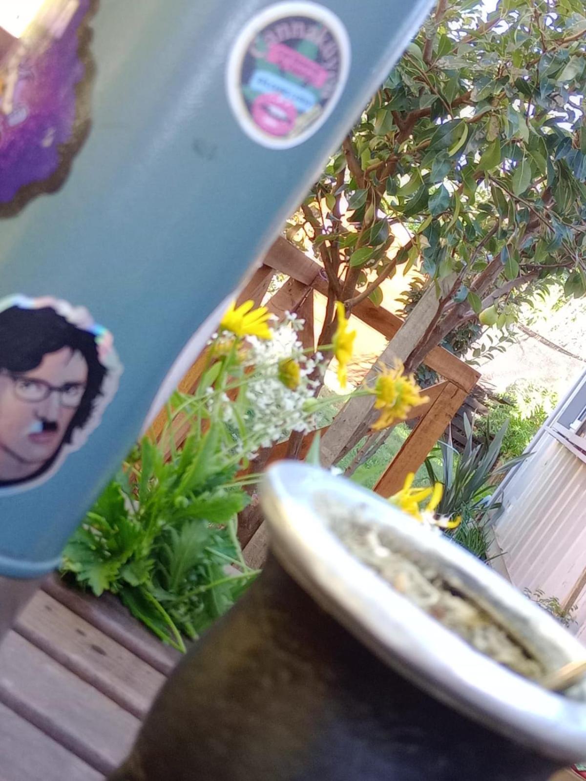Foresta Acantilados, Casa Container y Cabaña de Troncos