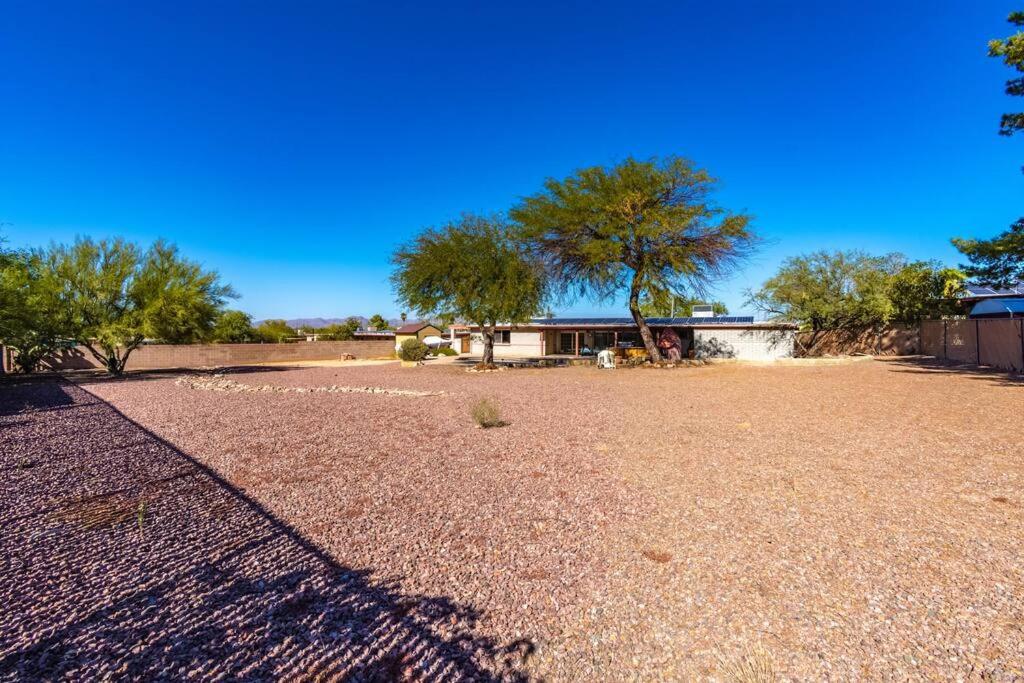 Desert Oasis view 5