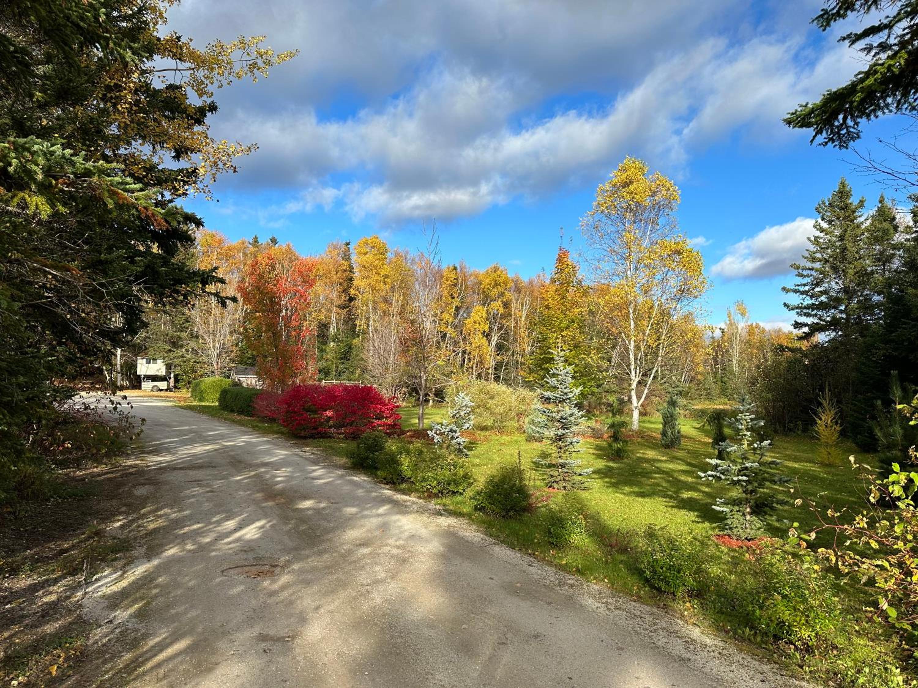 Eden Estate B&B