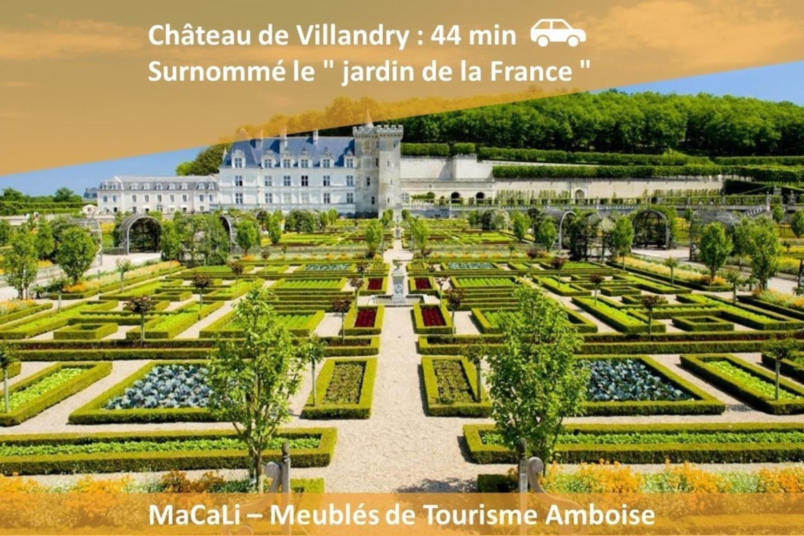 Home de Vitruve