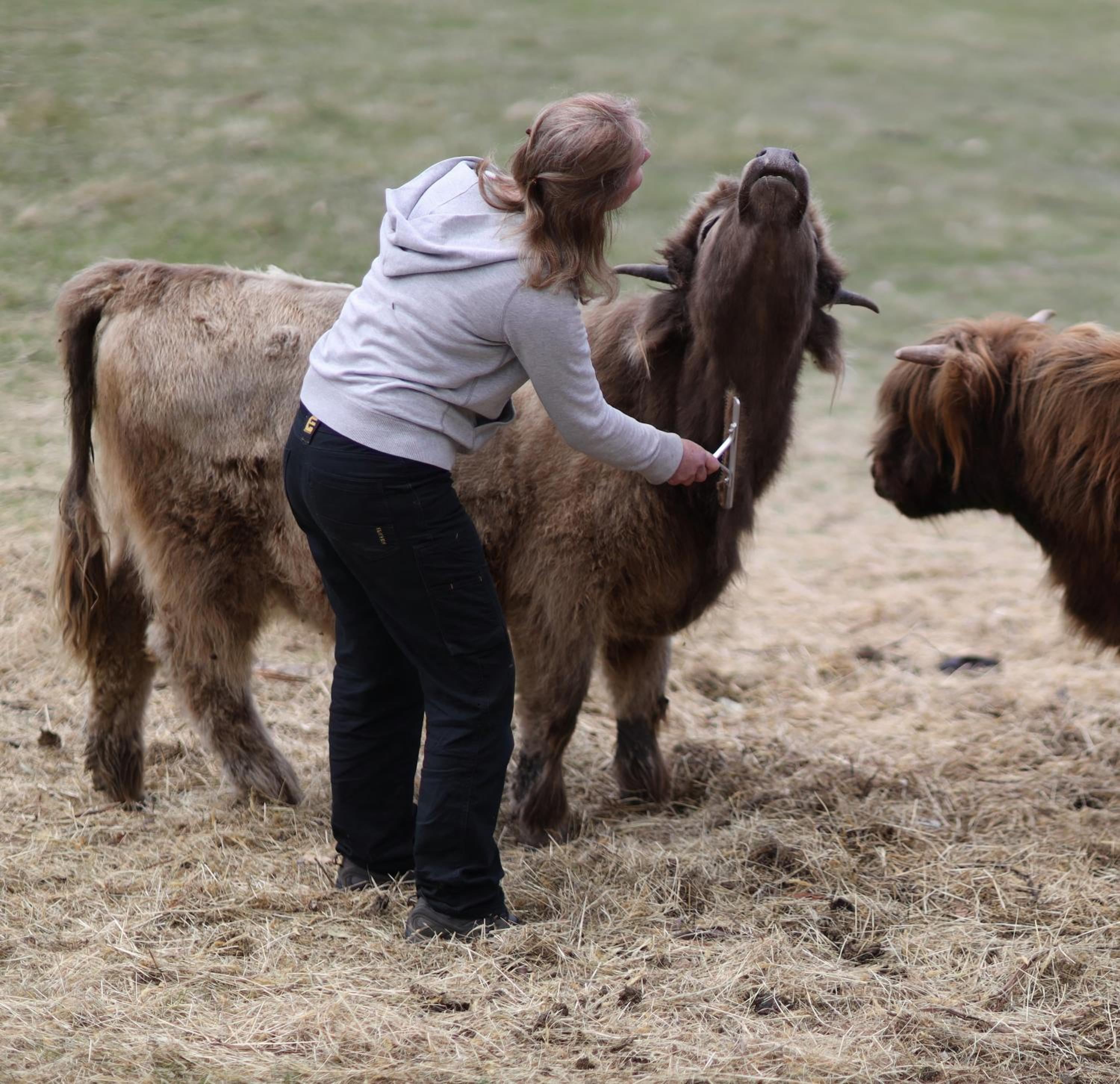 Heimat Farmstay