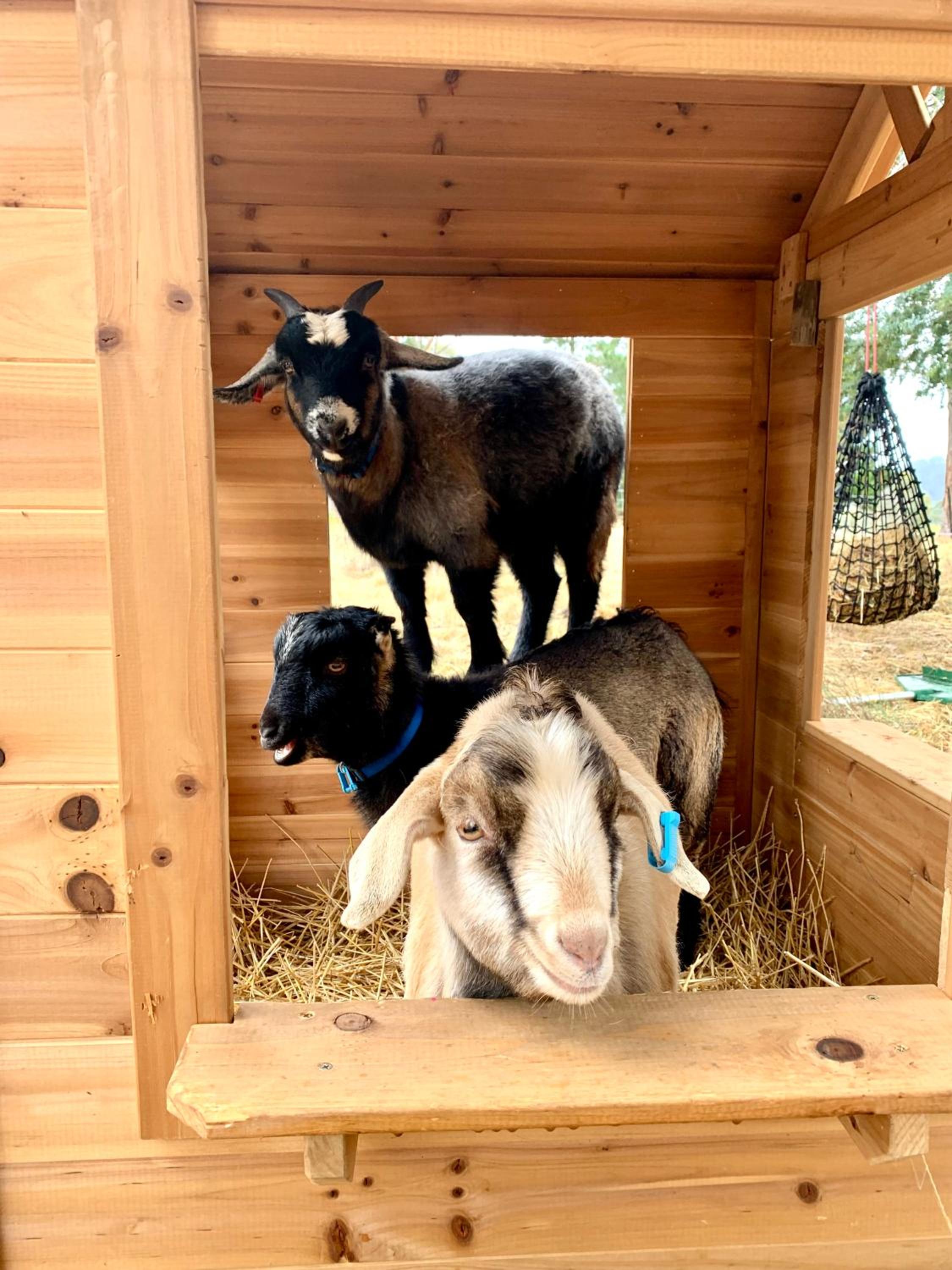 Heimat Farmstay