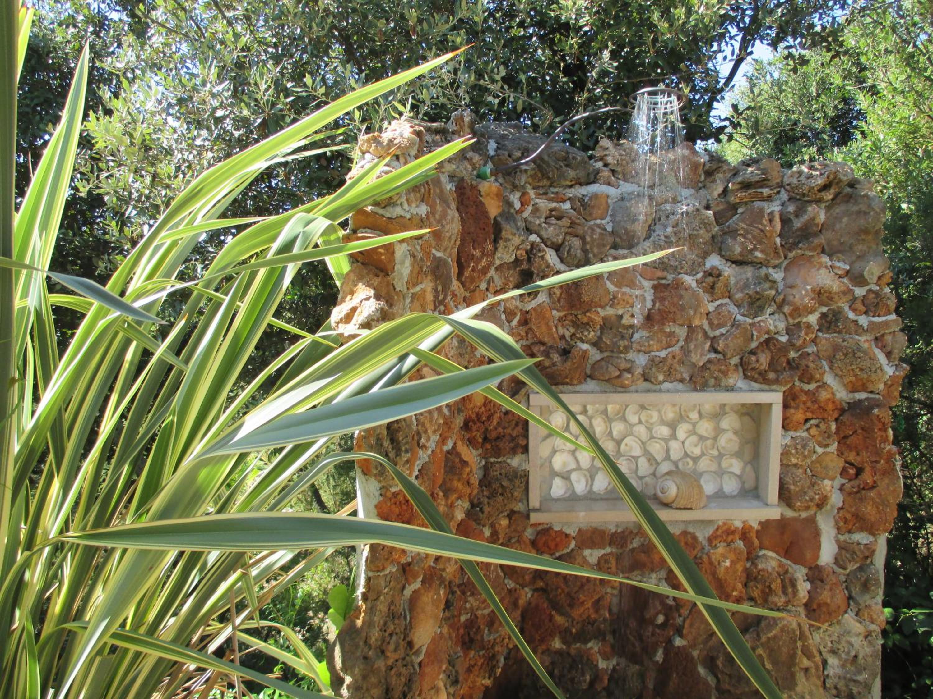Photo 26