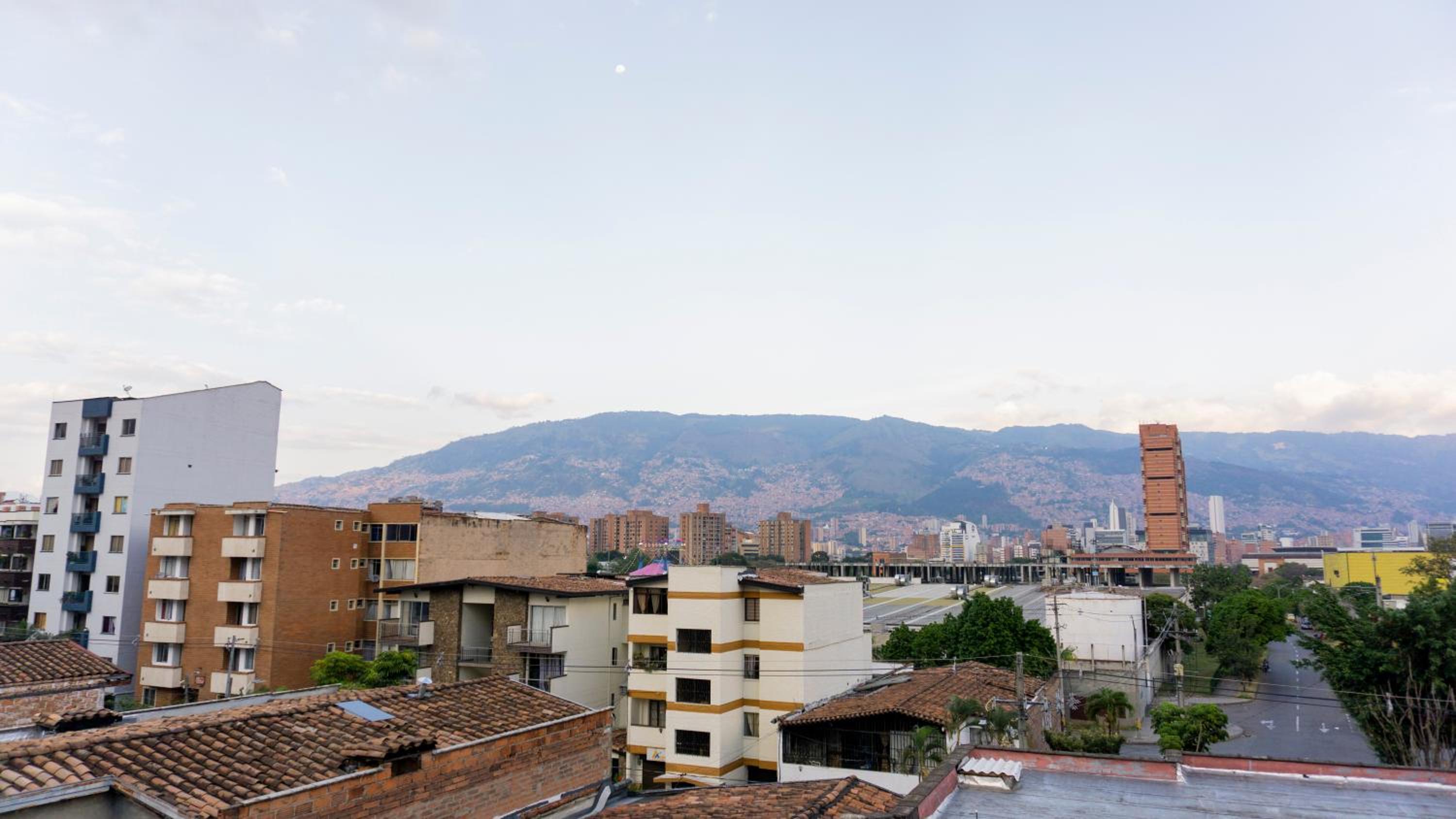 Selva House