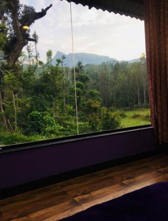 Nature stream homestay view 2