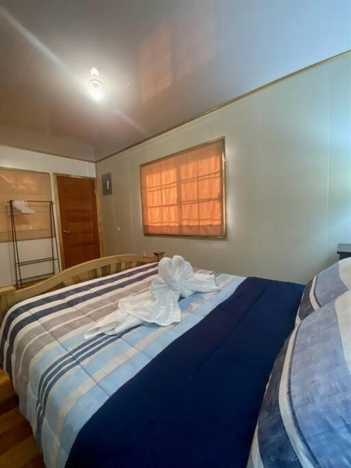 Cashew Tree Cabana - Small Cosy, Close to the Beach.