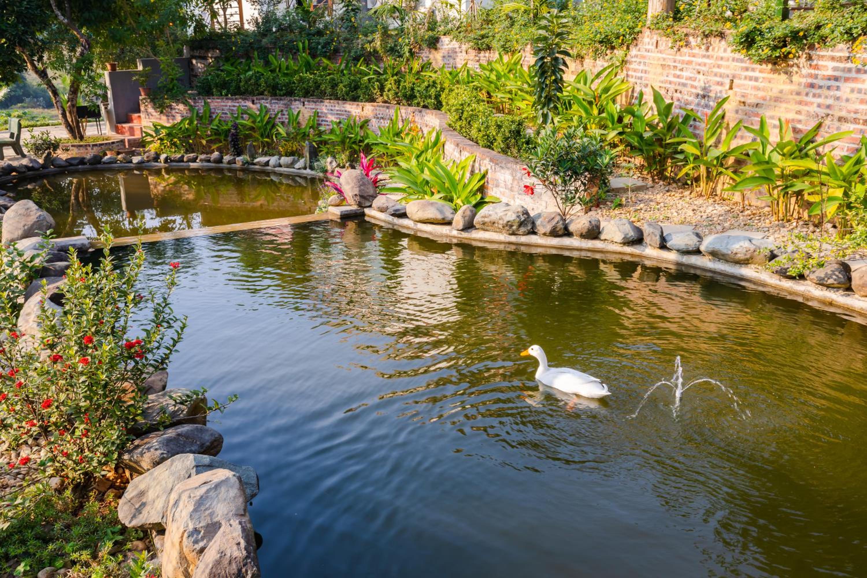 Vườn Mây Homestay Tiến Xuân