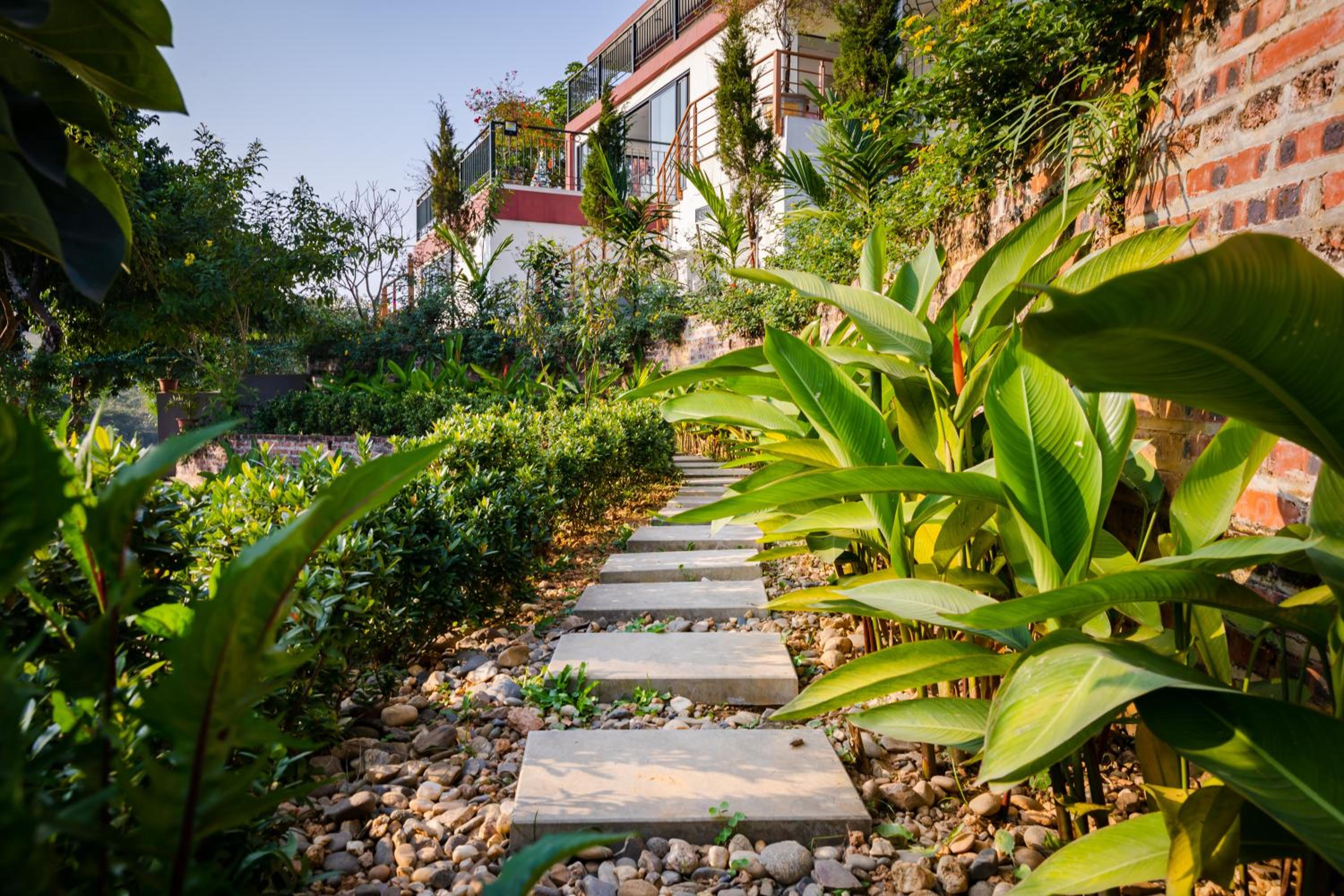 Vườn Mây Homestay Tiến Xuân