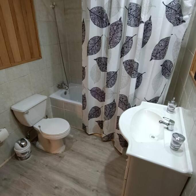 Habitación Coigue