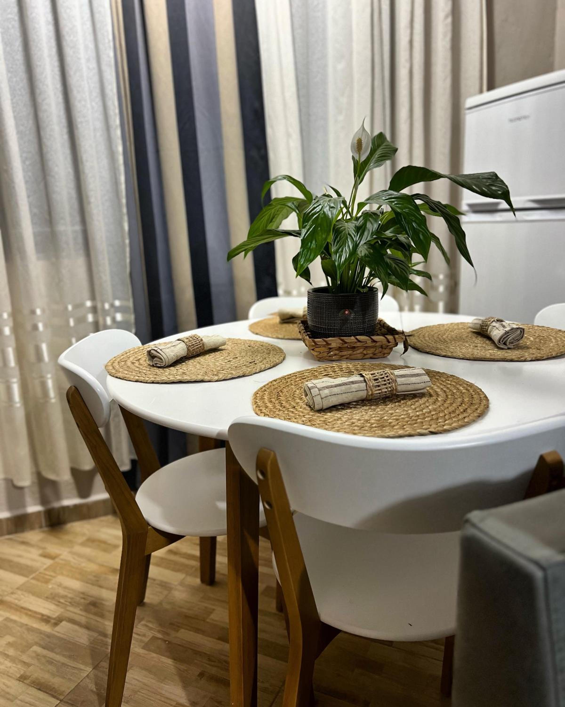 New modern Tirana apartment