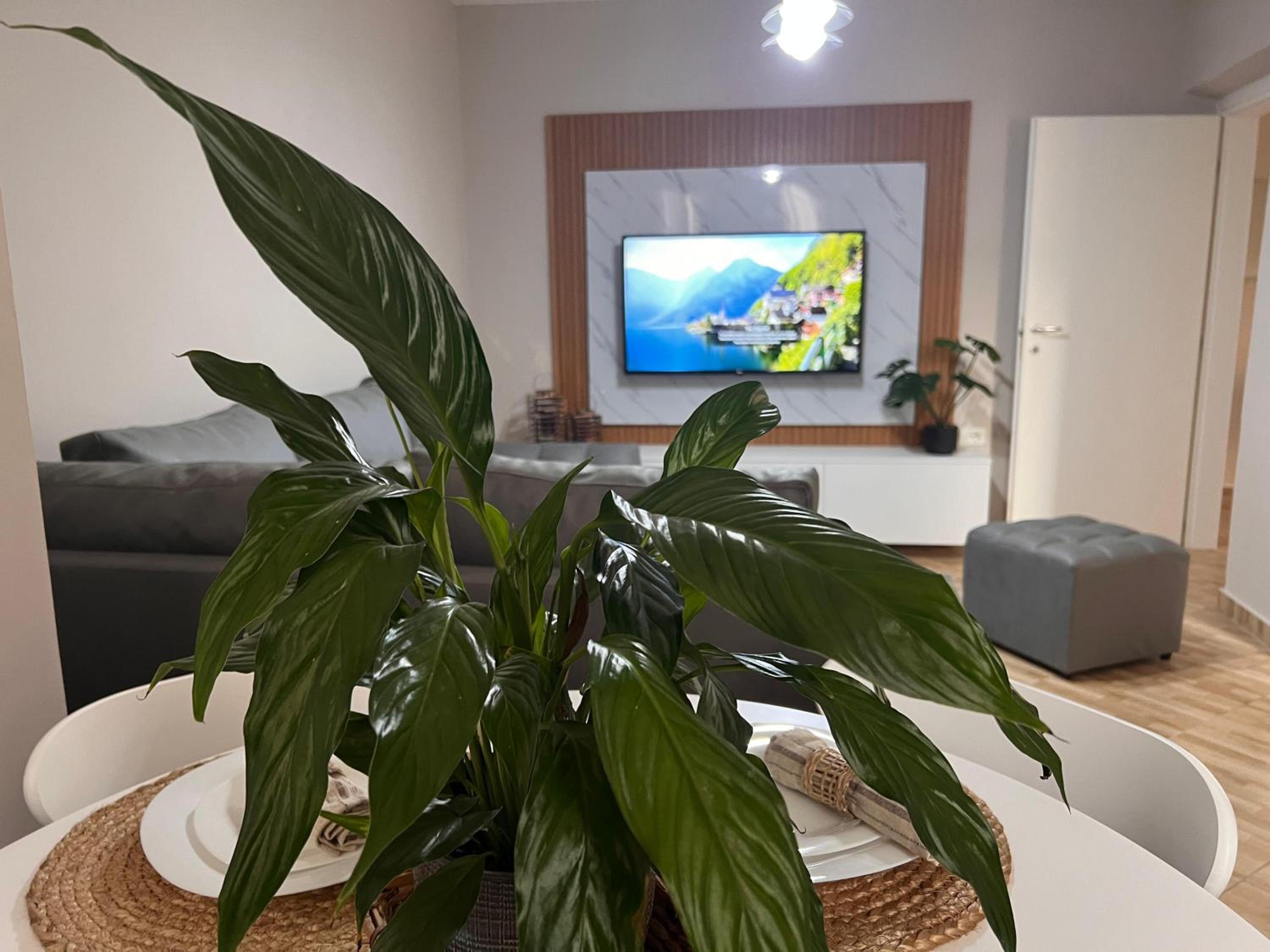 New modern Tirana apartment