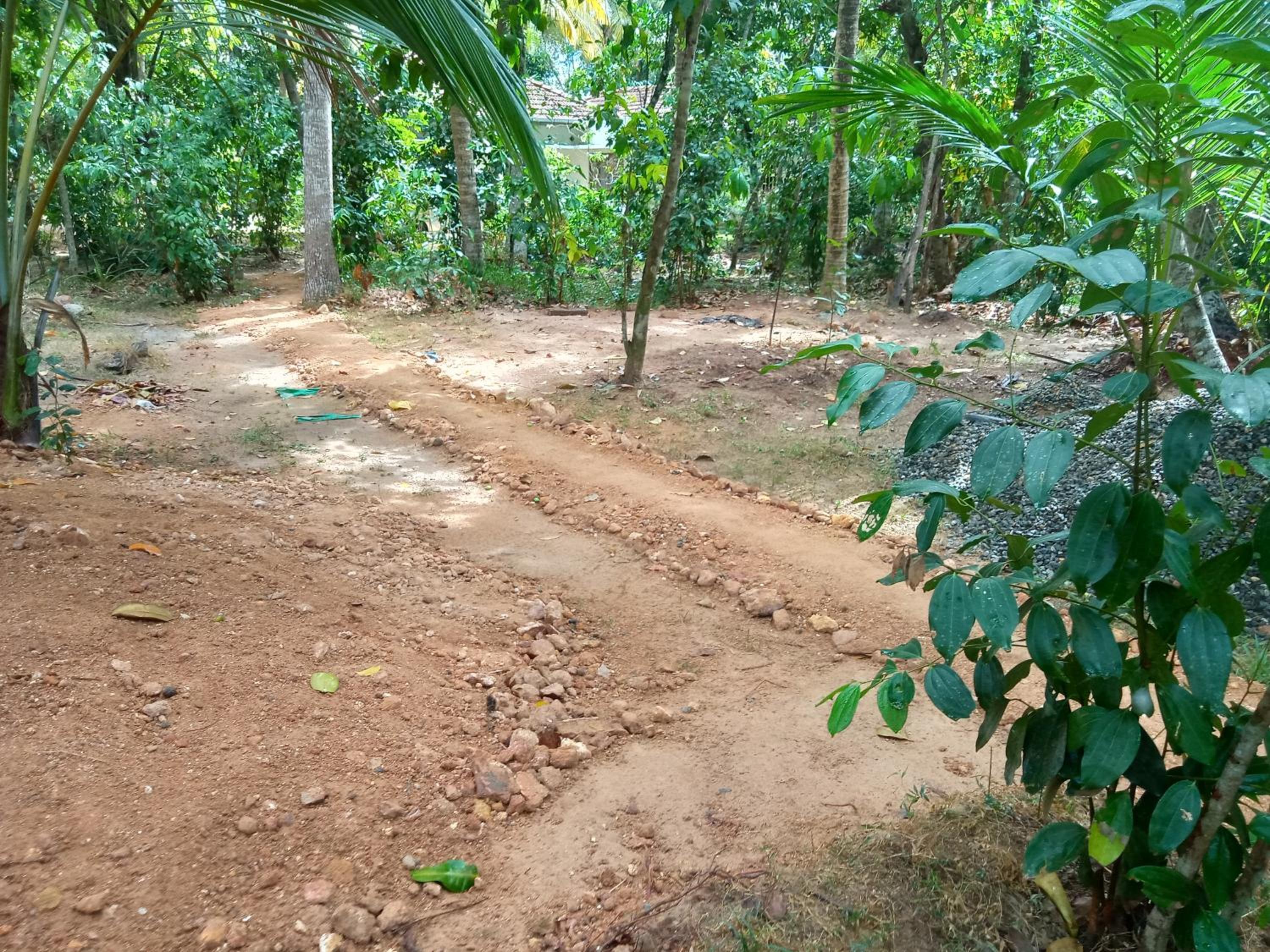 Cinnamon Forest Nature Rooms view 2