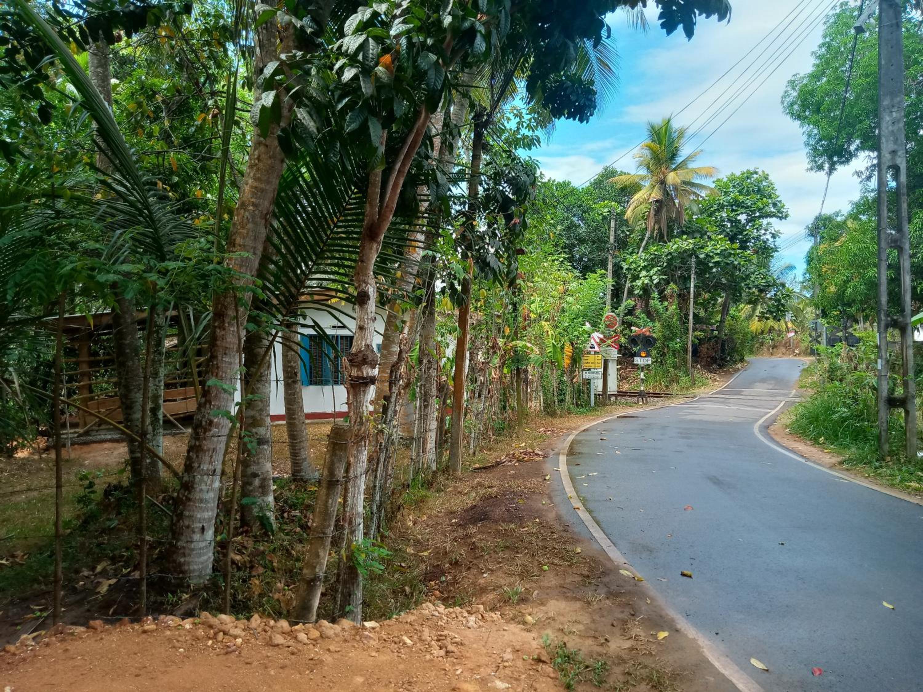 Cinnamon Forest Nature Rooms view 4