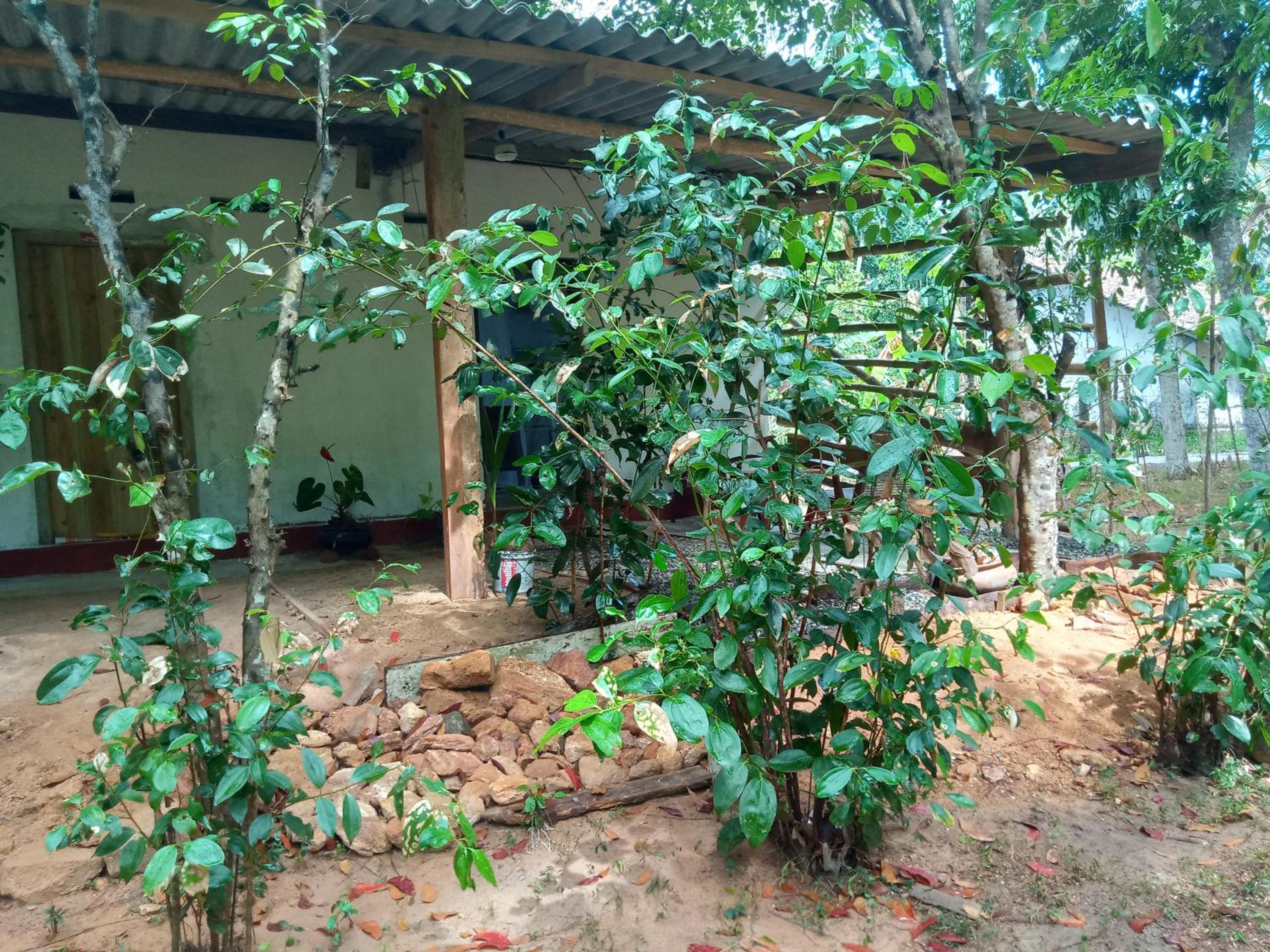 Photo 14