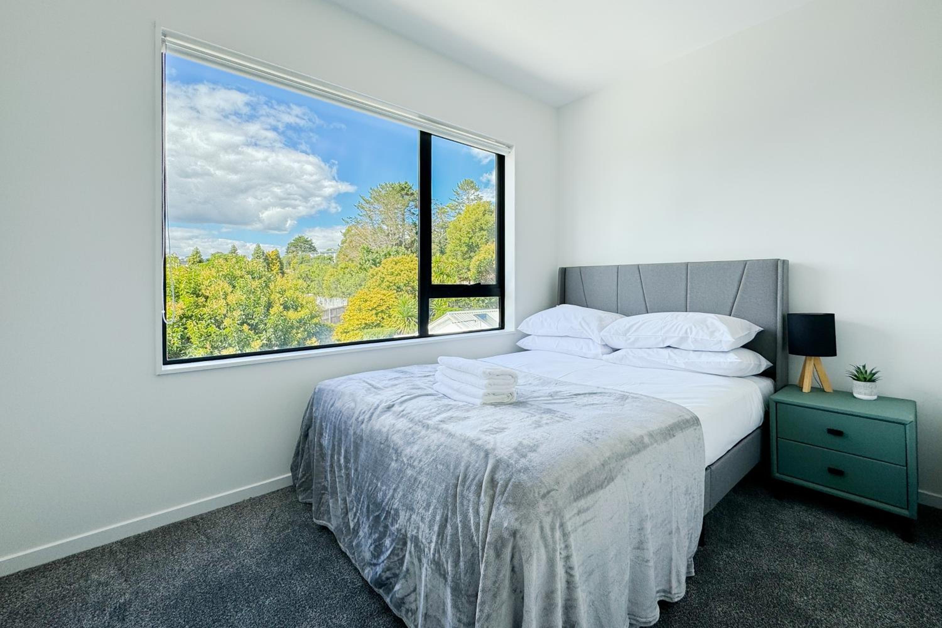 Brand New 2 Bedroom Unit in Albany view 3