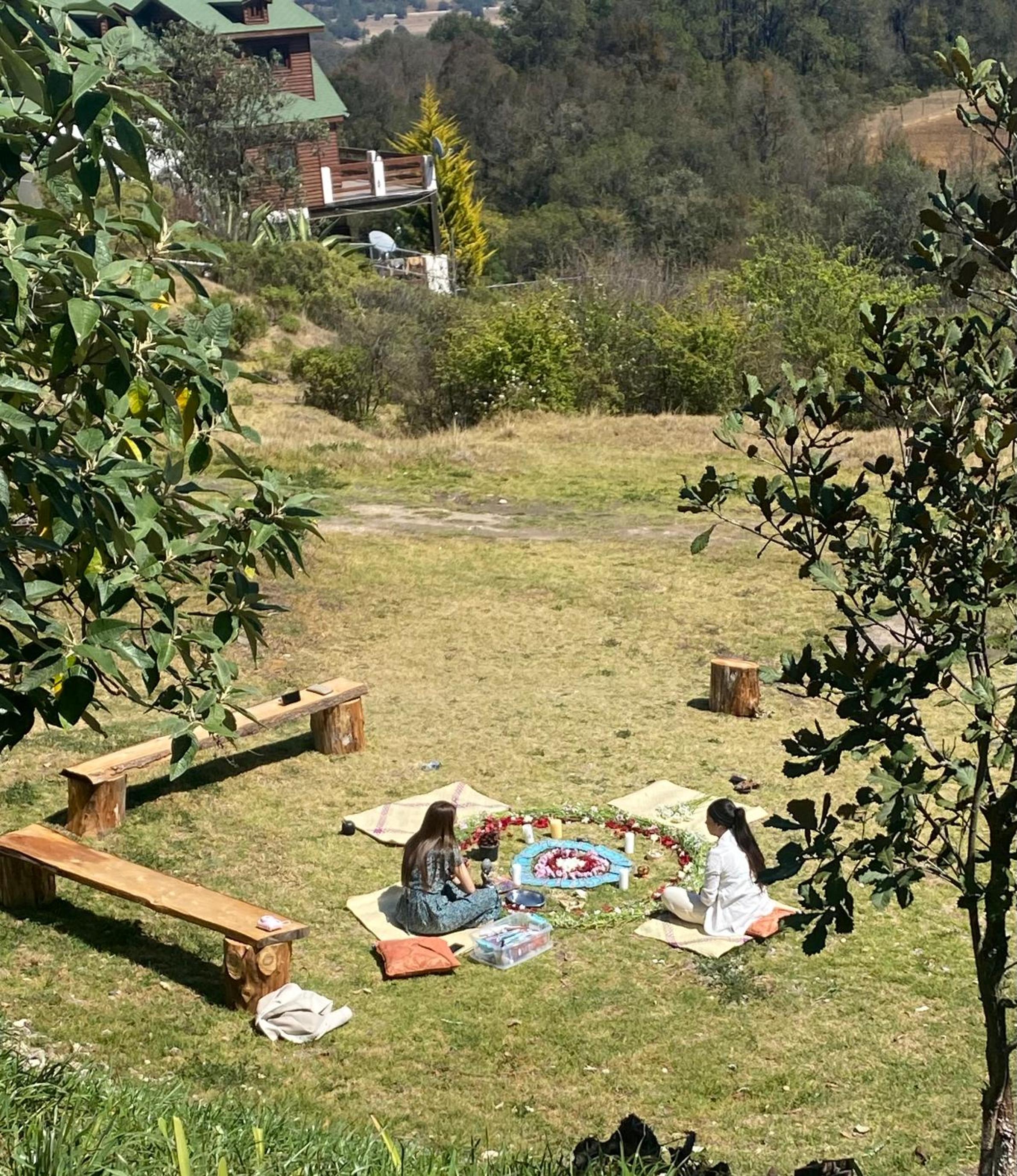 Photo 20