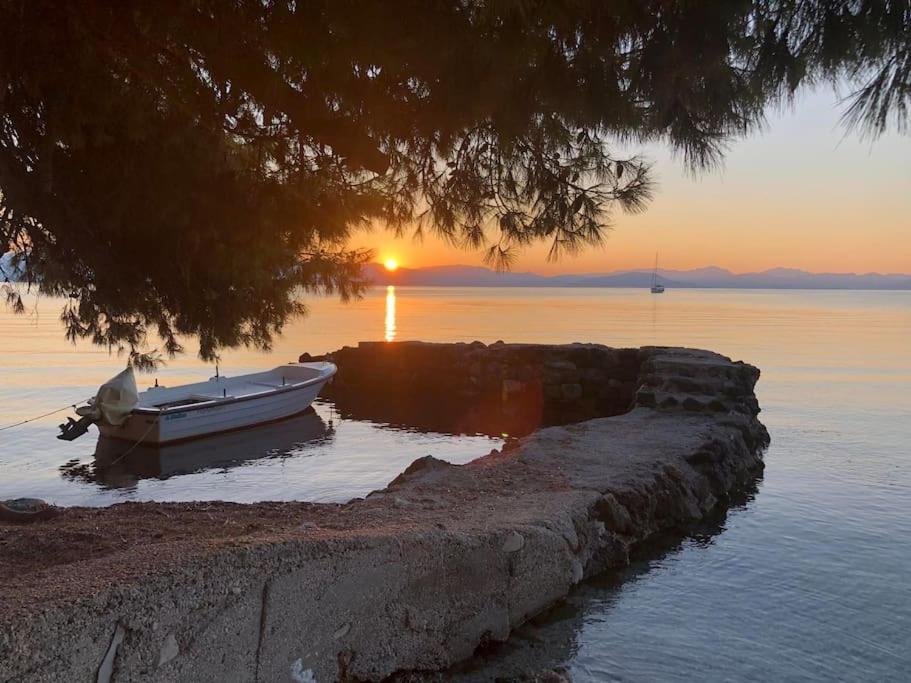 Levanda seaview