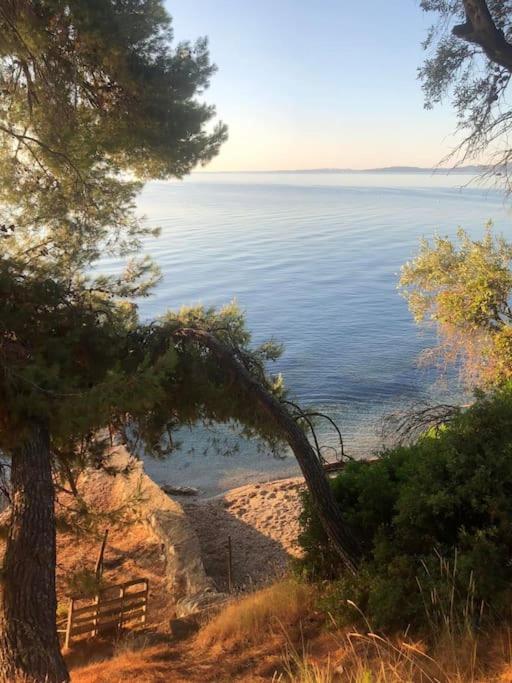Levanda seaview