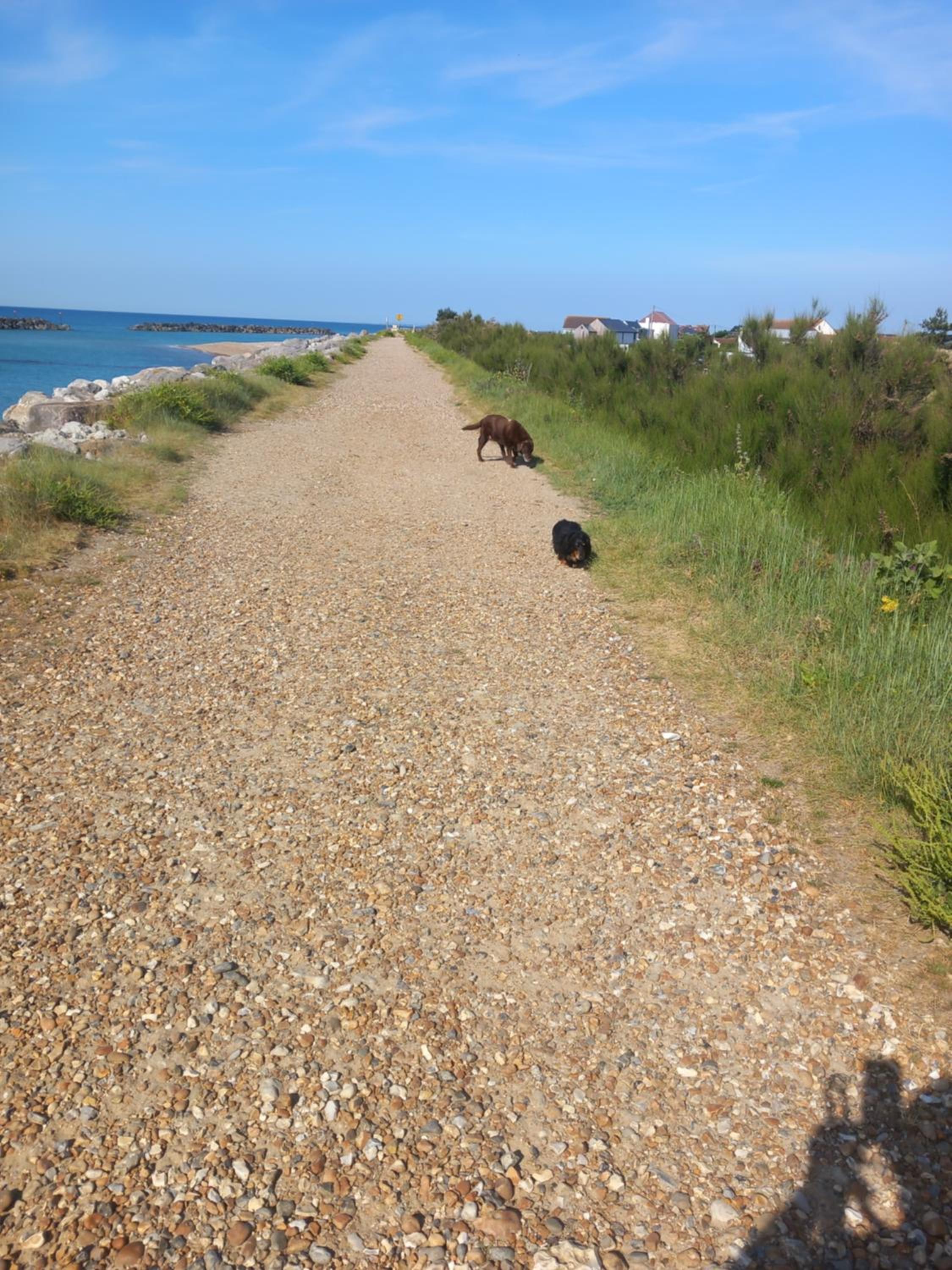 Remarkable Seaside Apartment - Sleeps 4 view 5