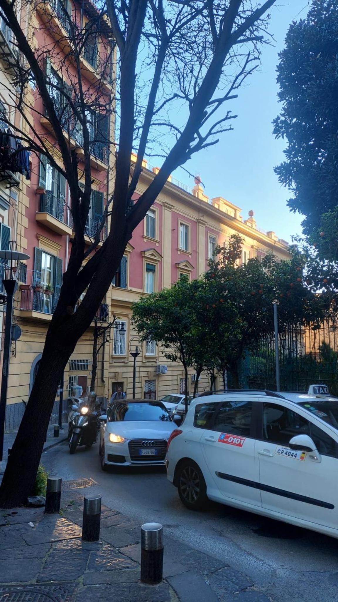 Casa Nina