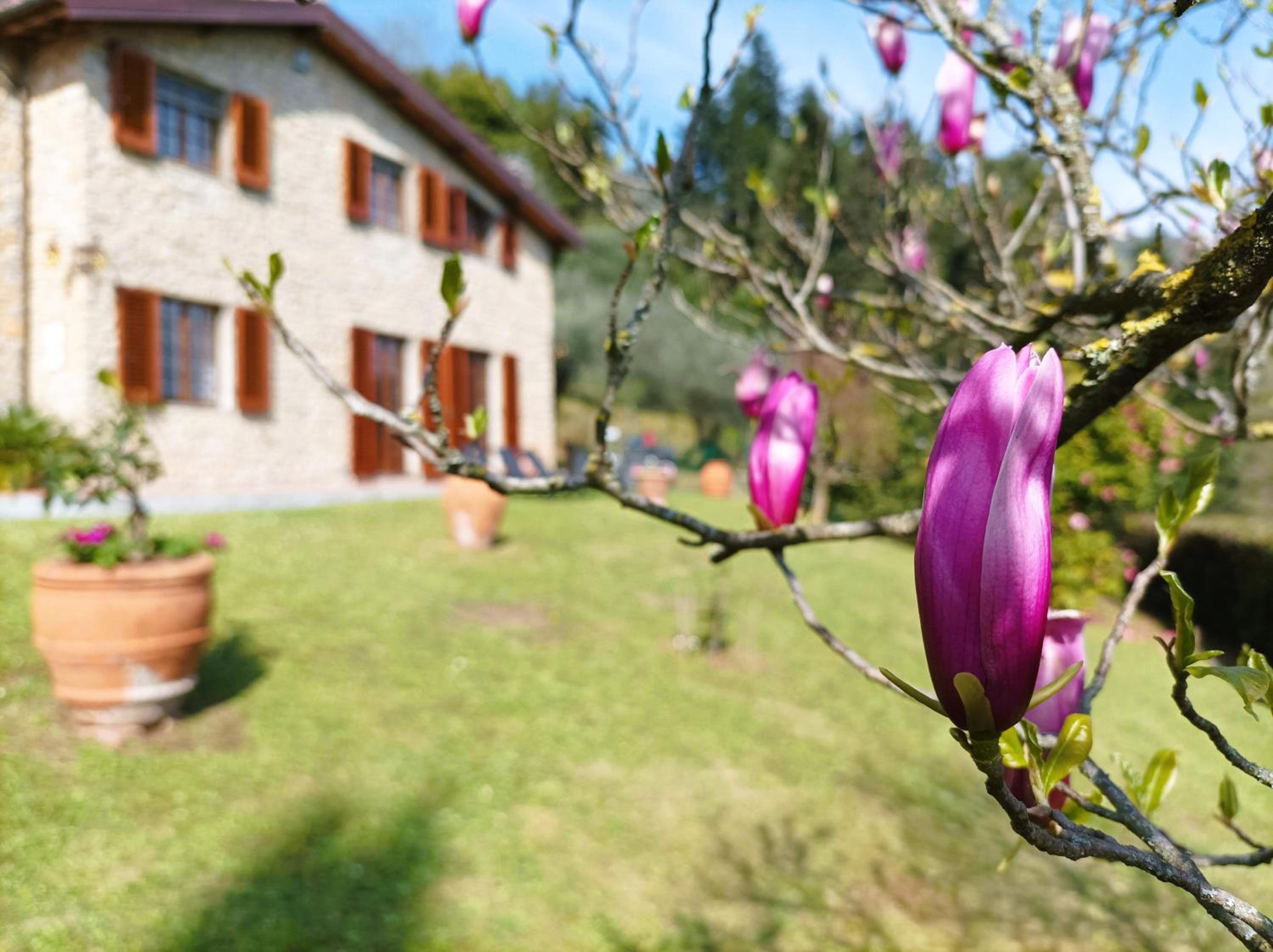 Villa Camelia Tuscany