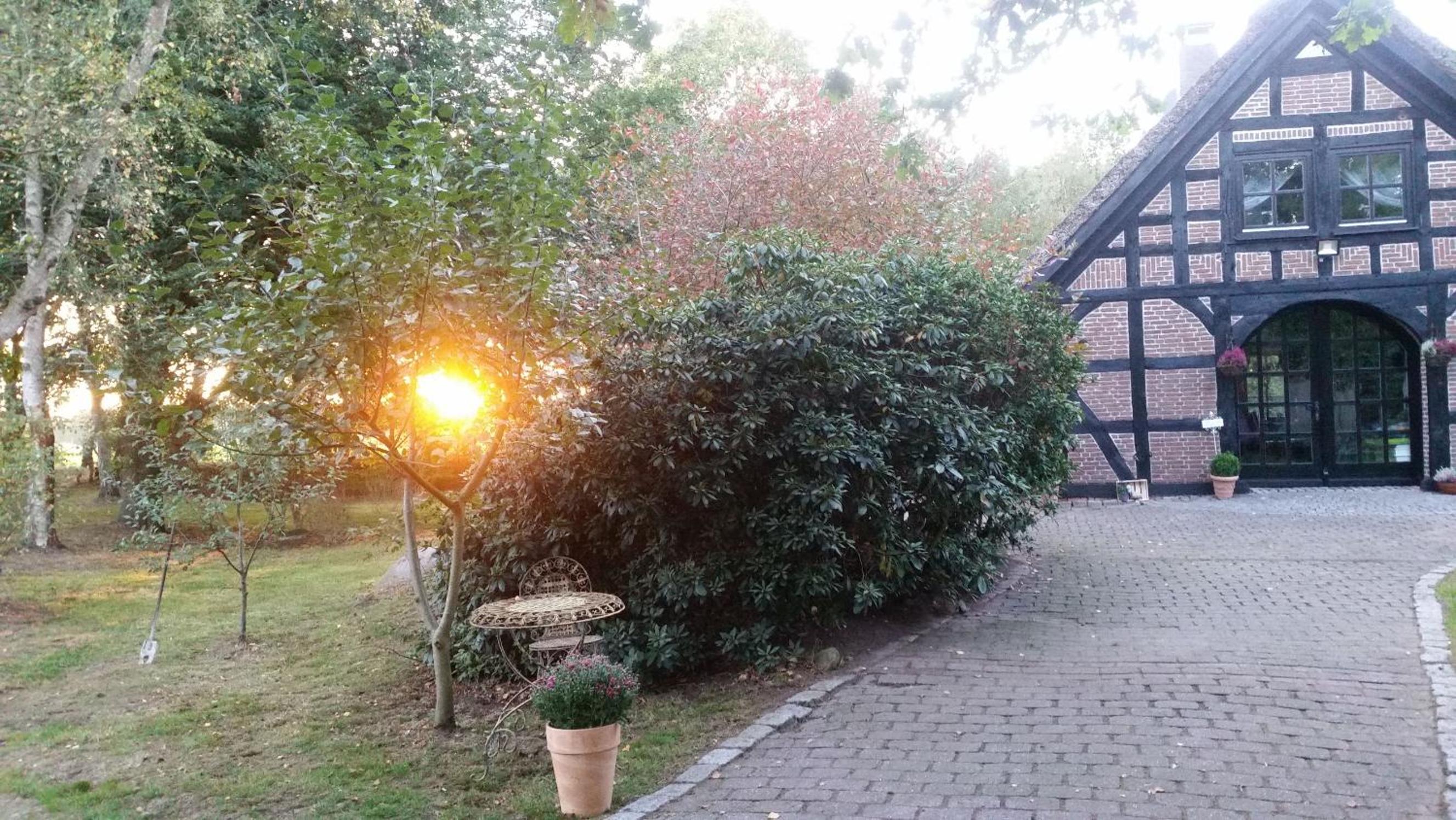 Ferienhaus Oak-Tree-Cottage