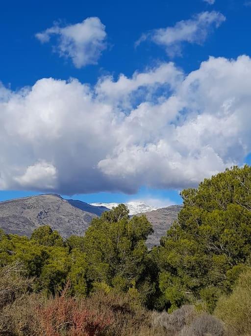 Cortijo La Acequia