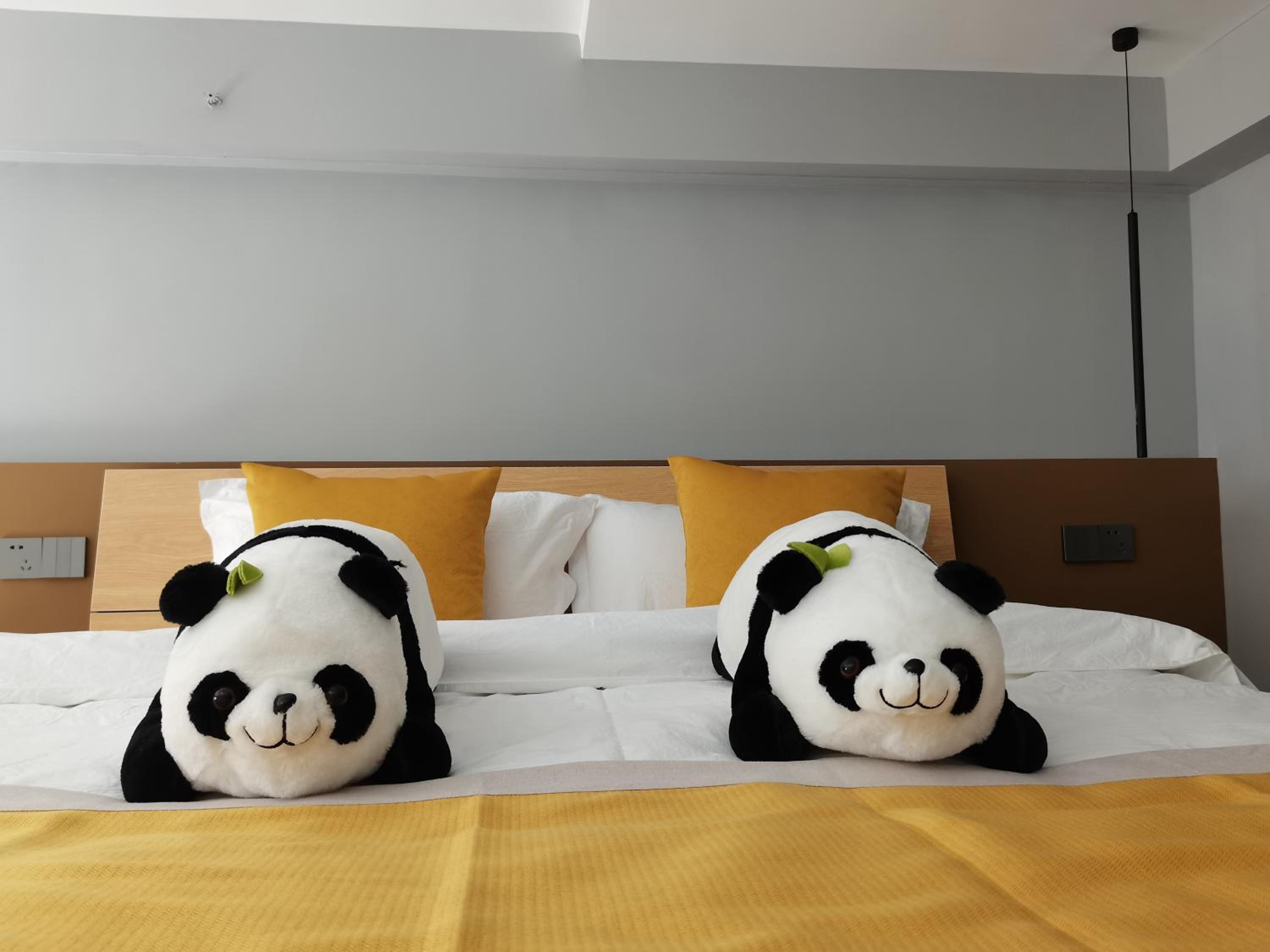 Panda ZuoKe Besucher Apartment 熊猫坐客民宿