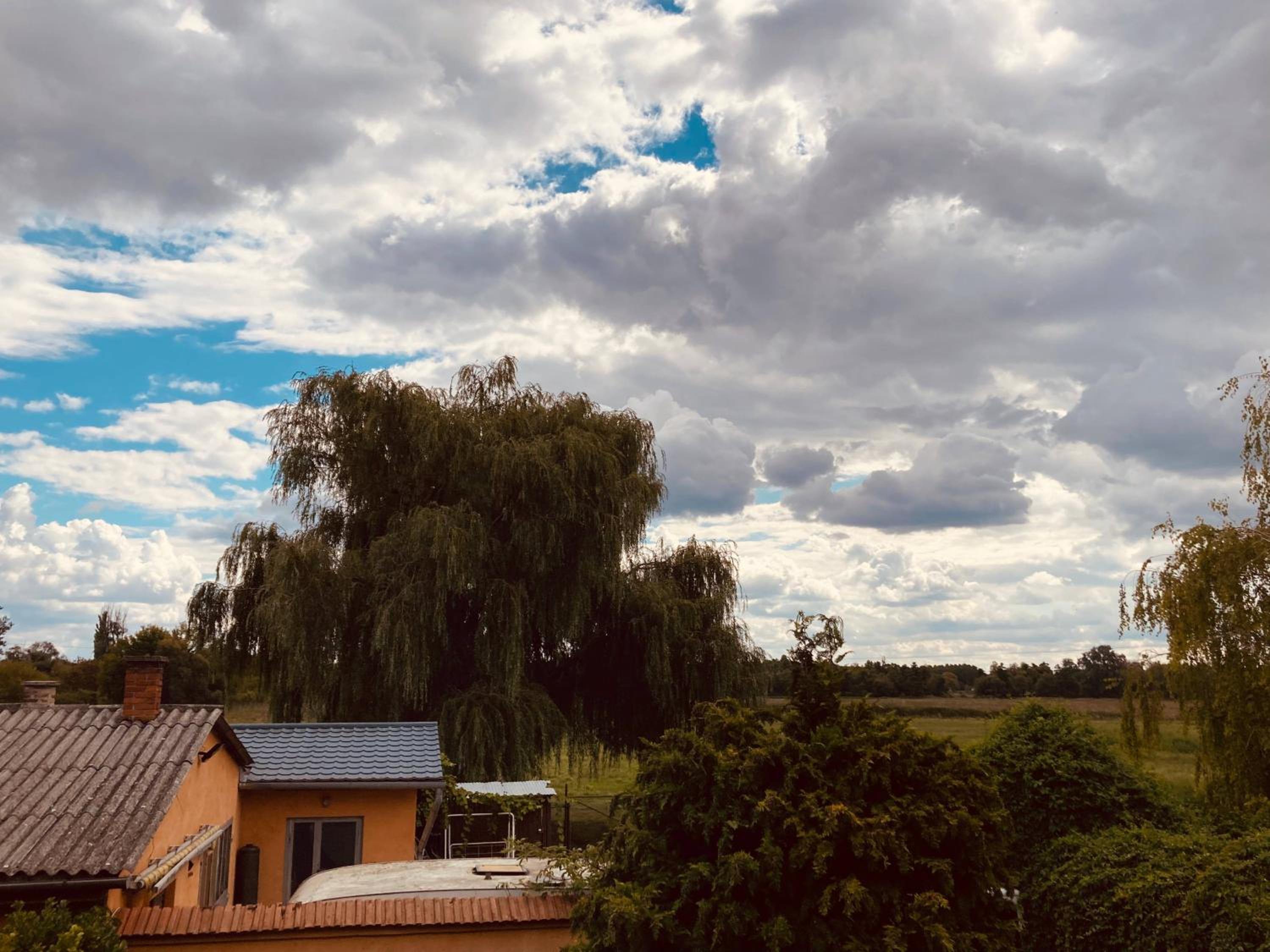 Rózsa Ház view 2