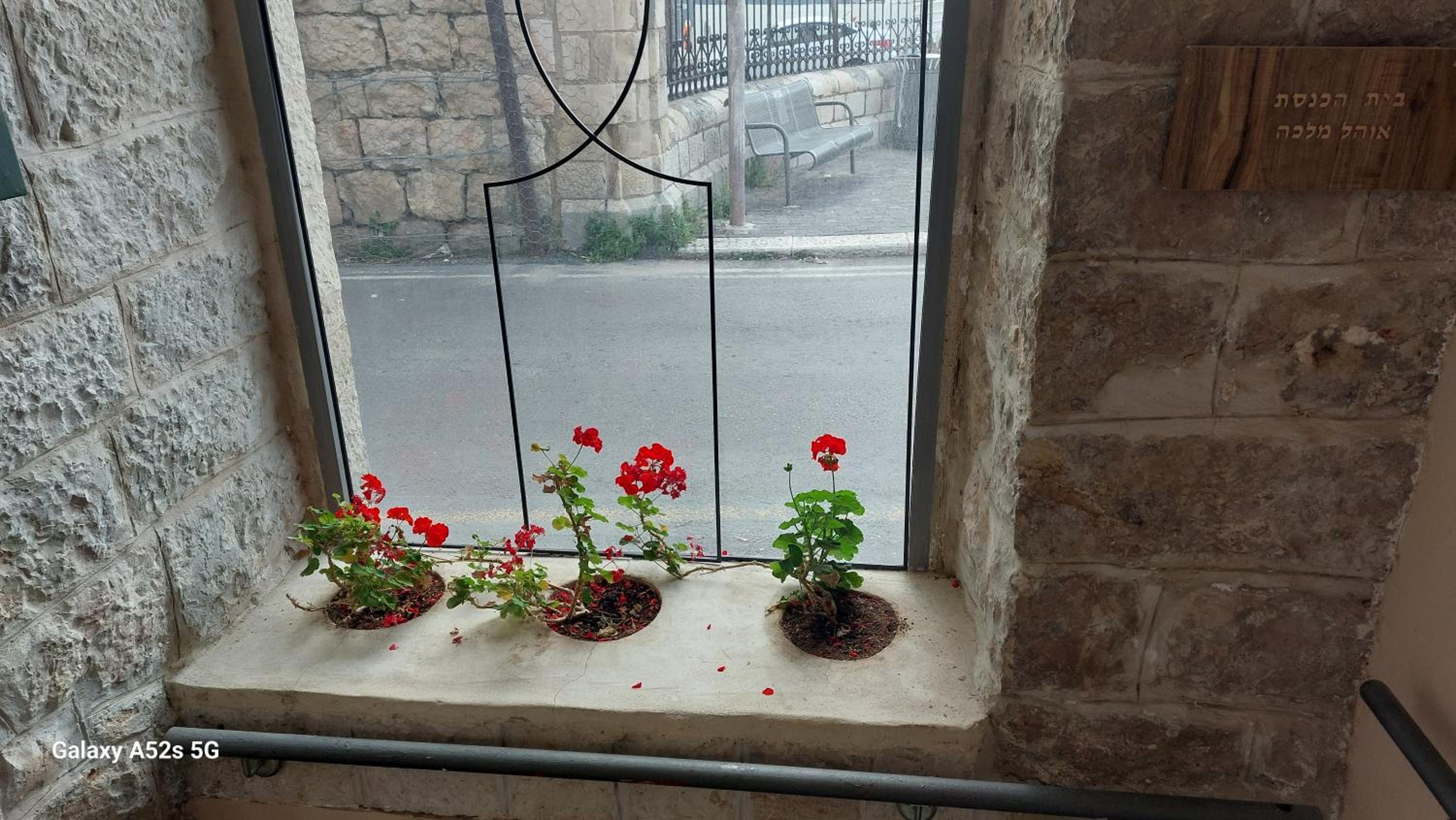 Photo 36