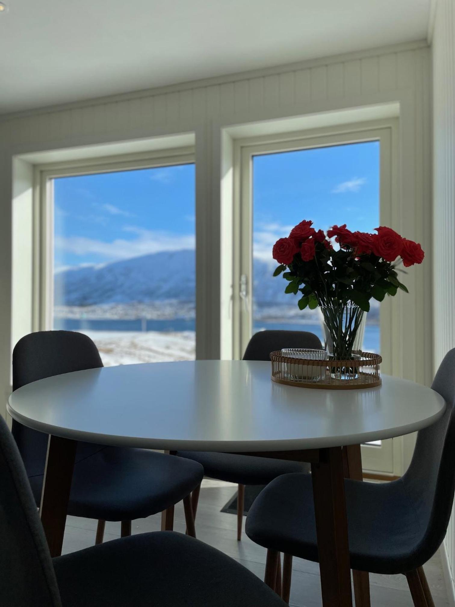 Tromsø Skyline Sanctuary view 5